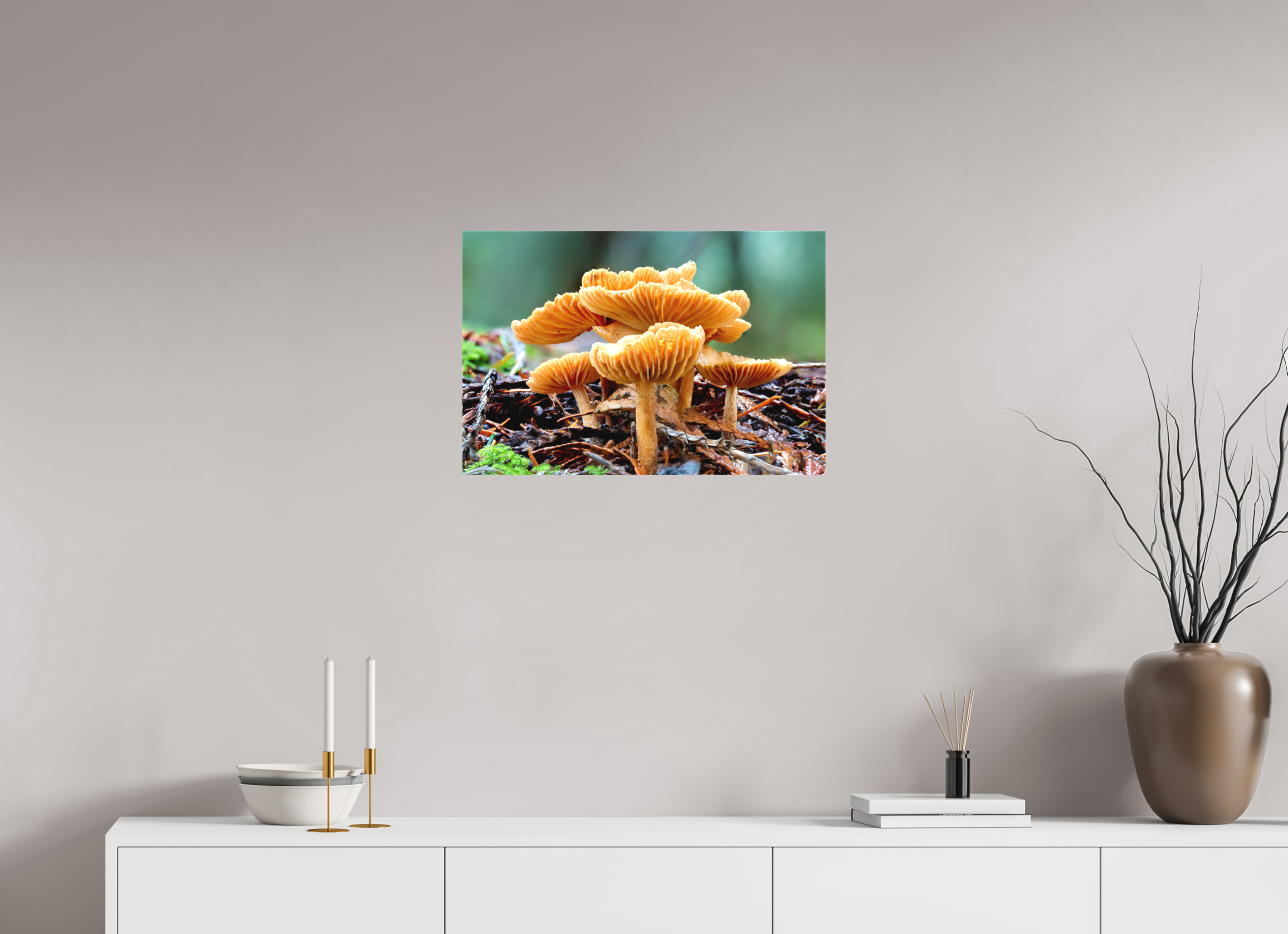 24 x 16″, Matte Canvas with Wrapped Edges Family of Fungi