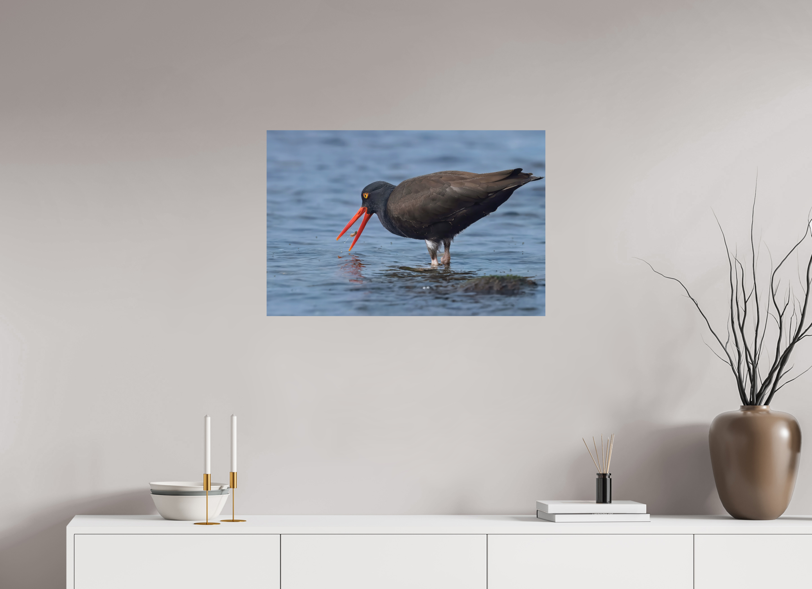 30 x 20″, Photo Print On Fuji Crystal DP II Oystercatcher