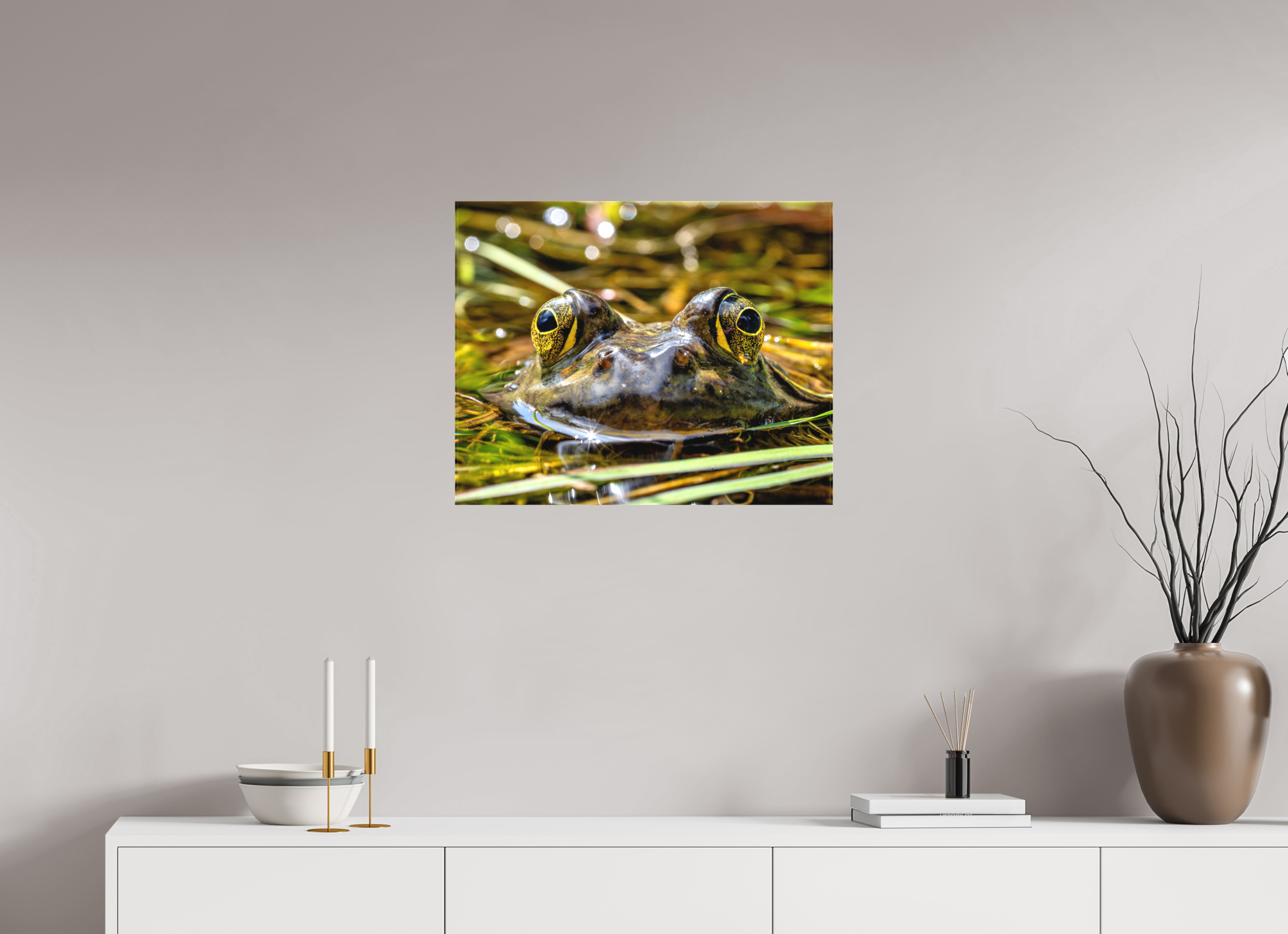 25 x 20″, Matte Canvas with Wrapped Edges Eyes of Frog