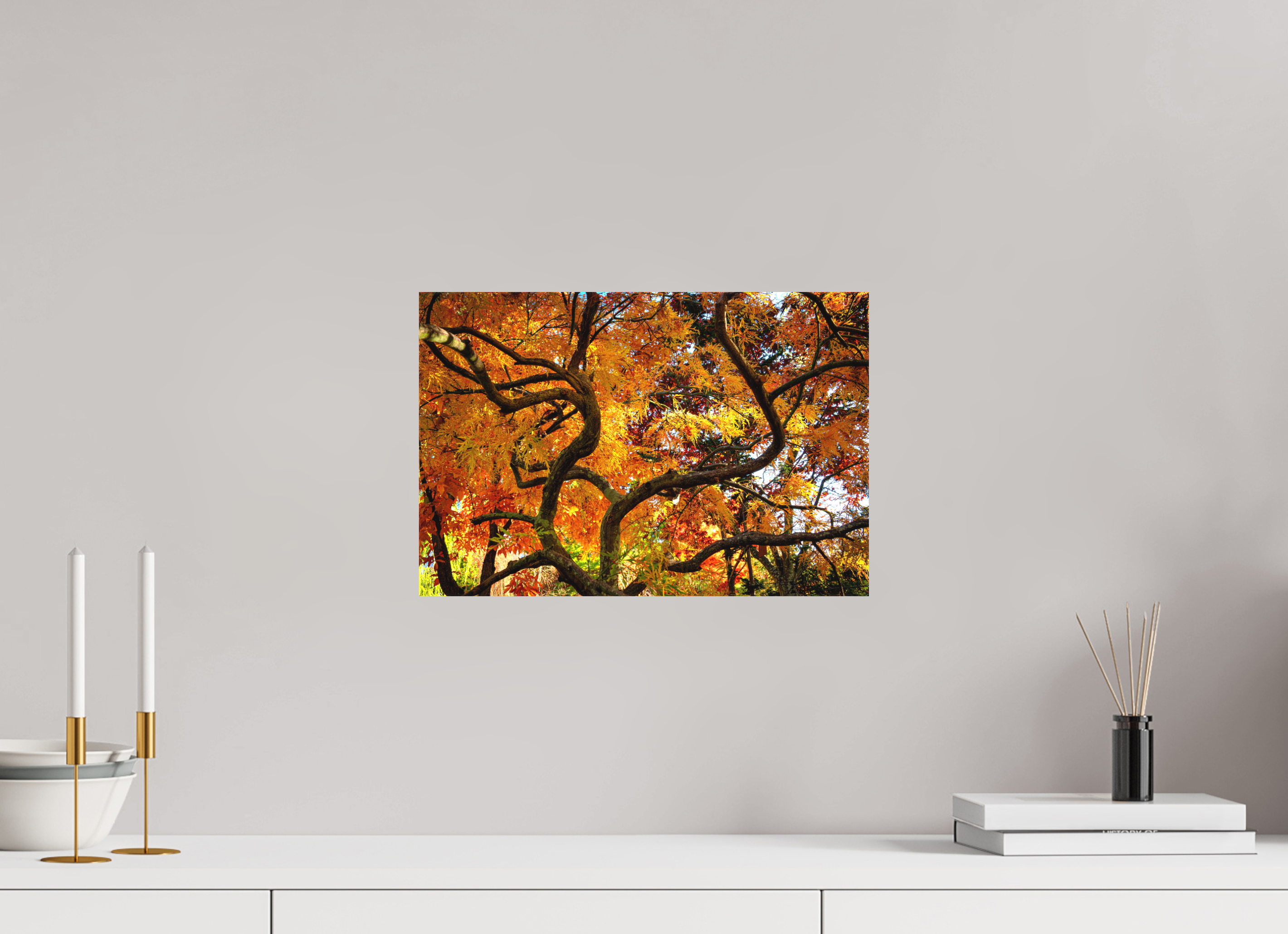 15 x 10″, Matte Canvas with Wrapped Edges Autumn Maple