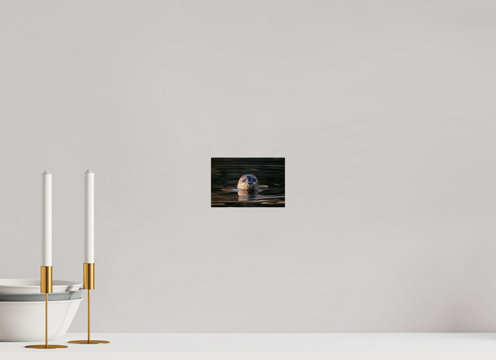6 x 4″, Photo Print On Fuji Crystal DP II Surface Seal