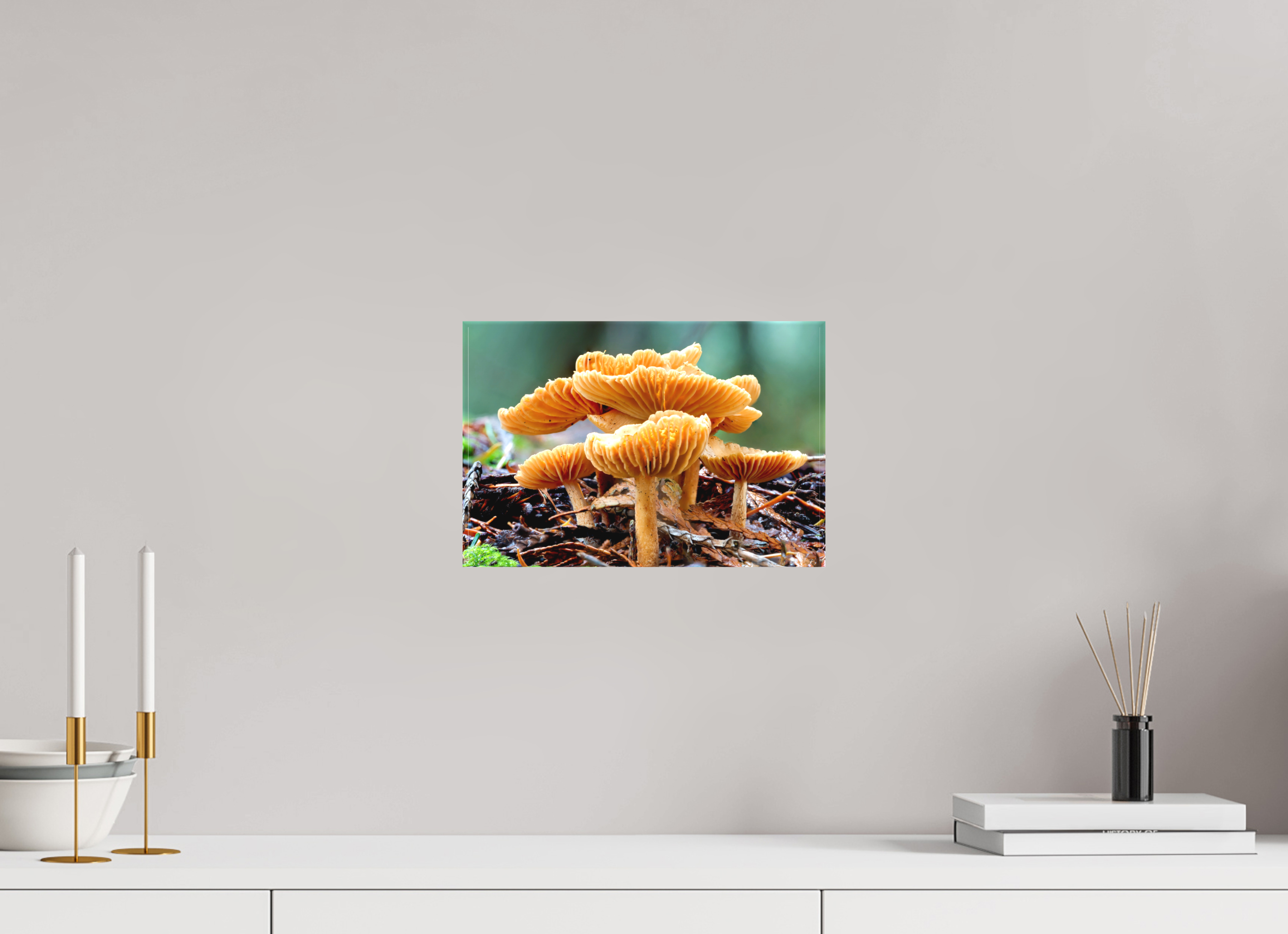 12 x 8″, Matte Canvas with Wrapped Edges Family of Fungi