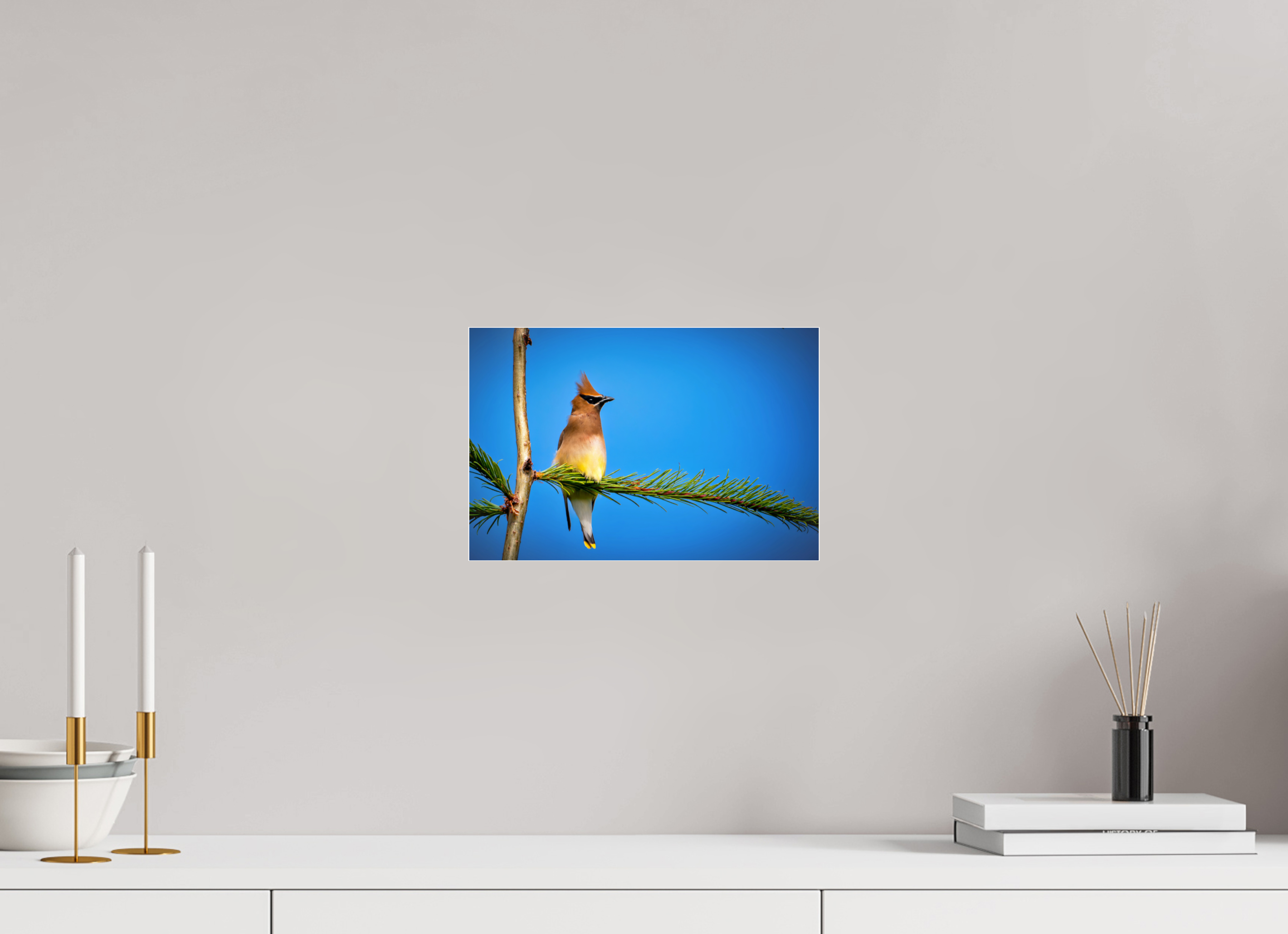 12 x 8″, Photo Mounted Under Acrylic Glass Waxwing