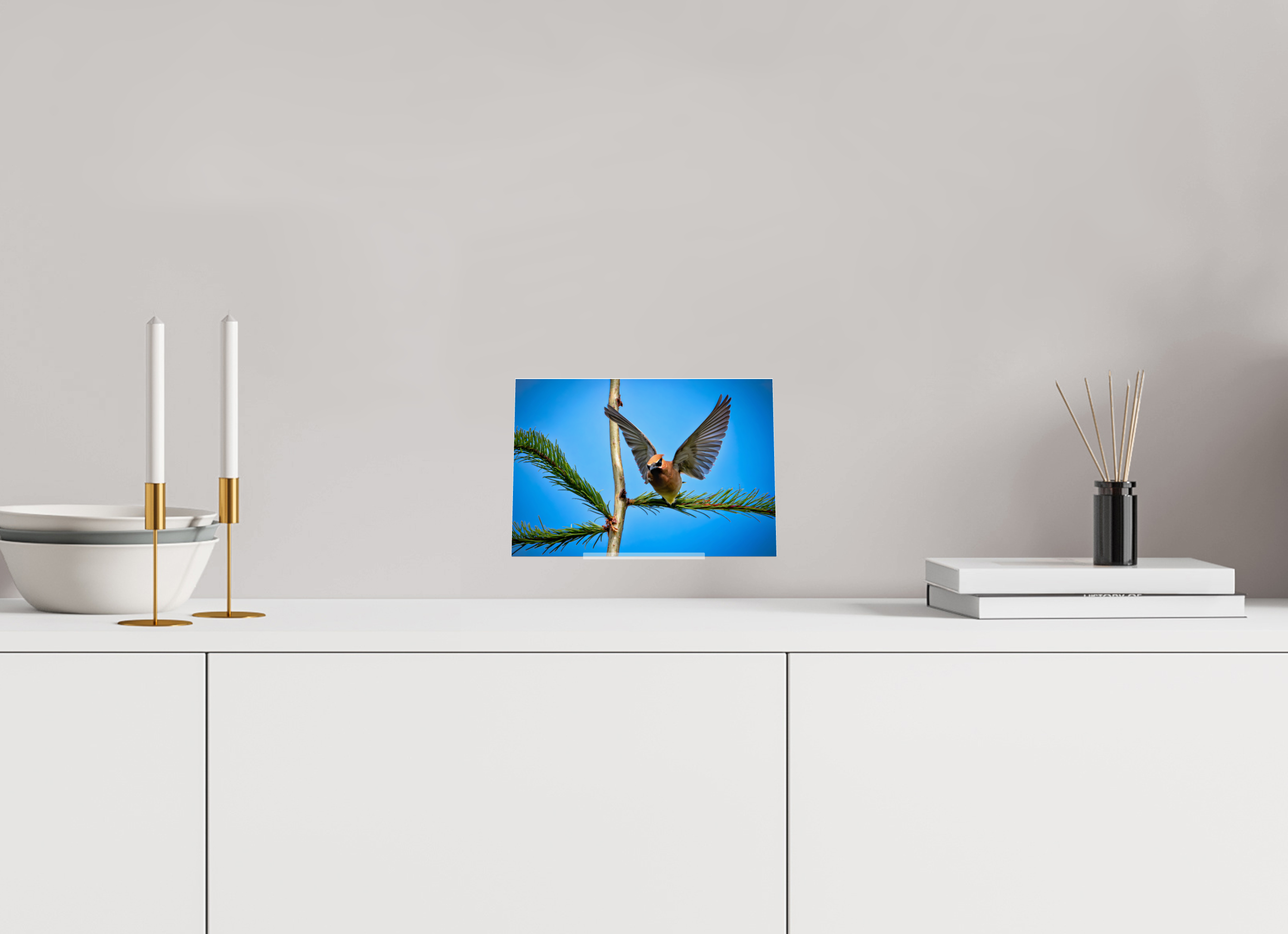 8.7 x 6″, Acrylic Glass on Stand Wing of the Waxwing