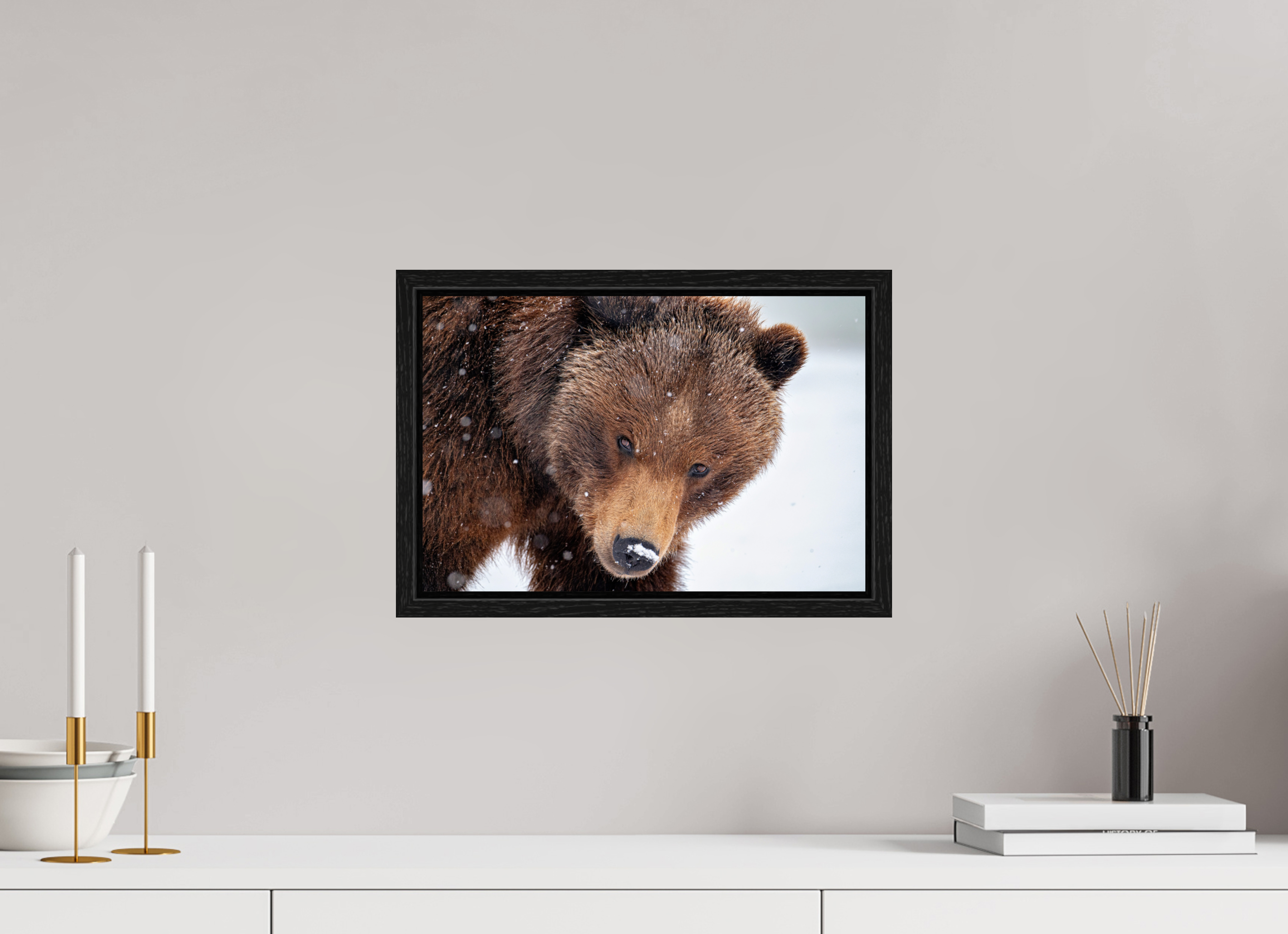 15 x 10″, Floater Frame Bear Stare
