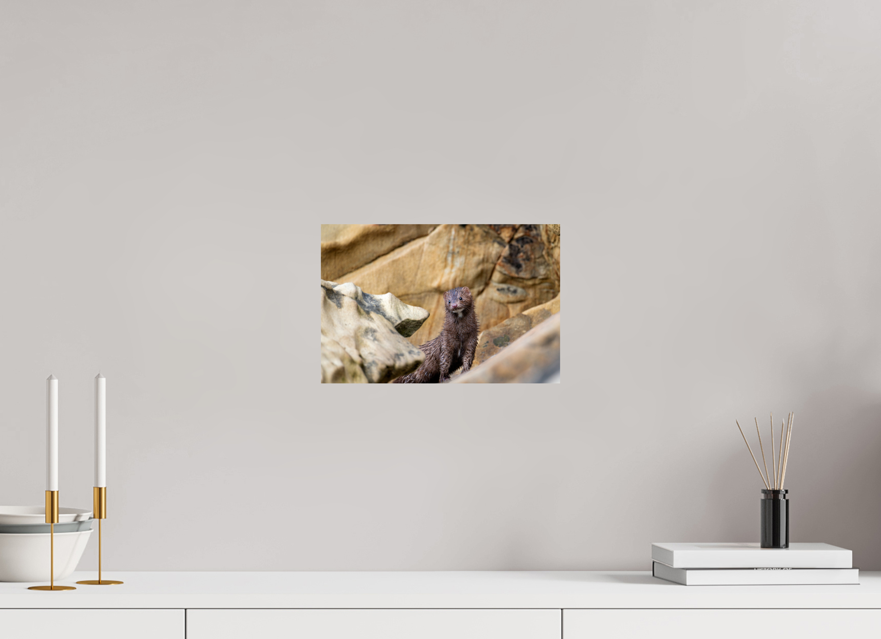 12 x 8″, Photo Print on Aluminum Backing Seaside Mink