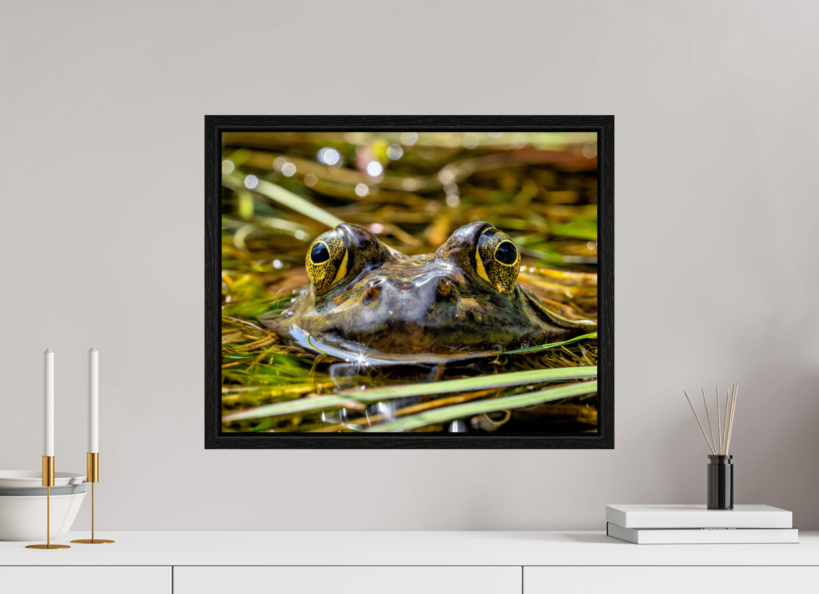 20 x 16″, Floater Frame Eyes of Frog