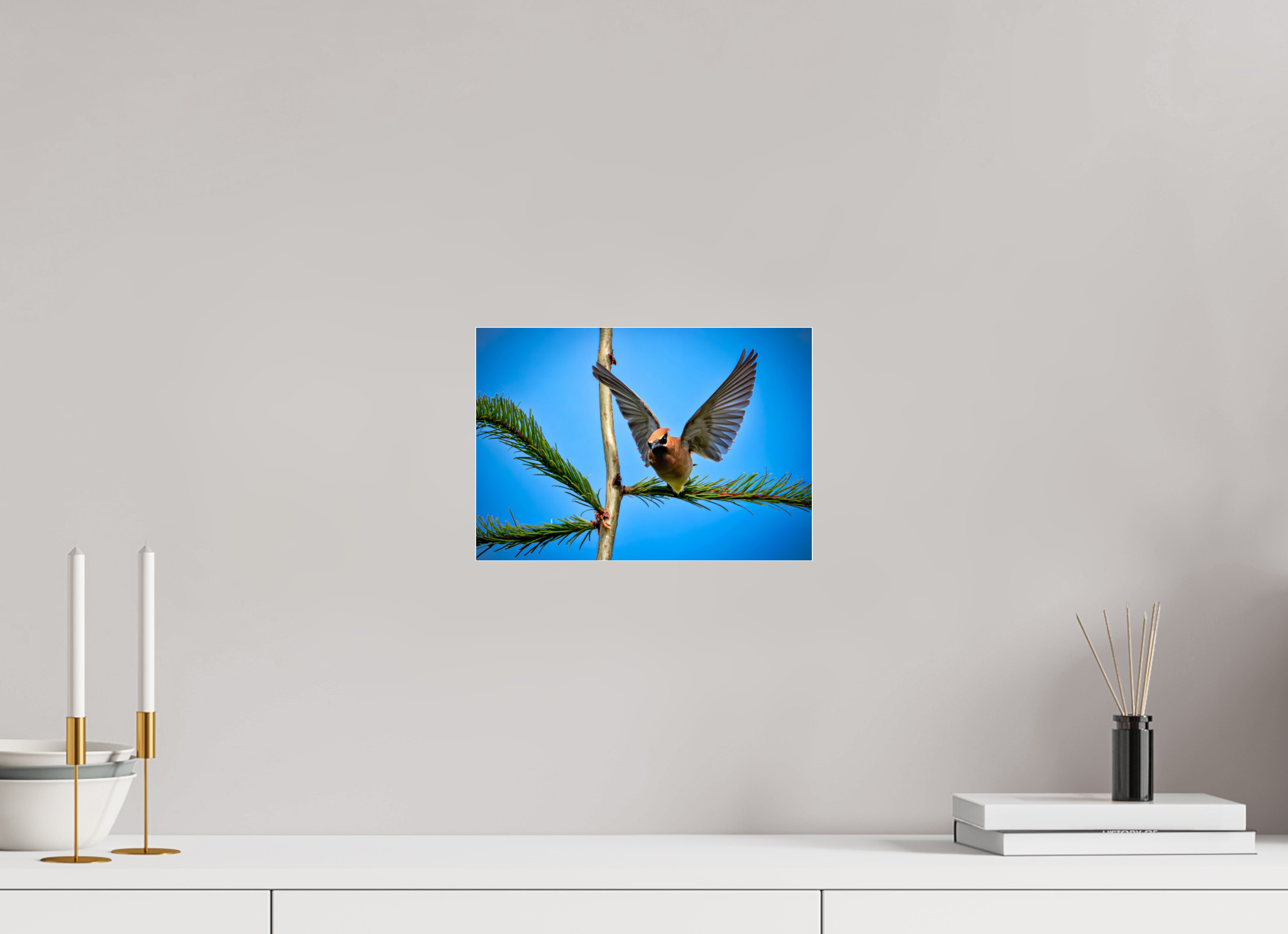 11.5 x 8″, Photo Mounted Under Acrylic Glass Wing of the Waxwing