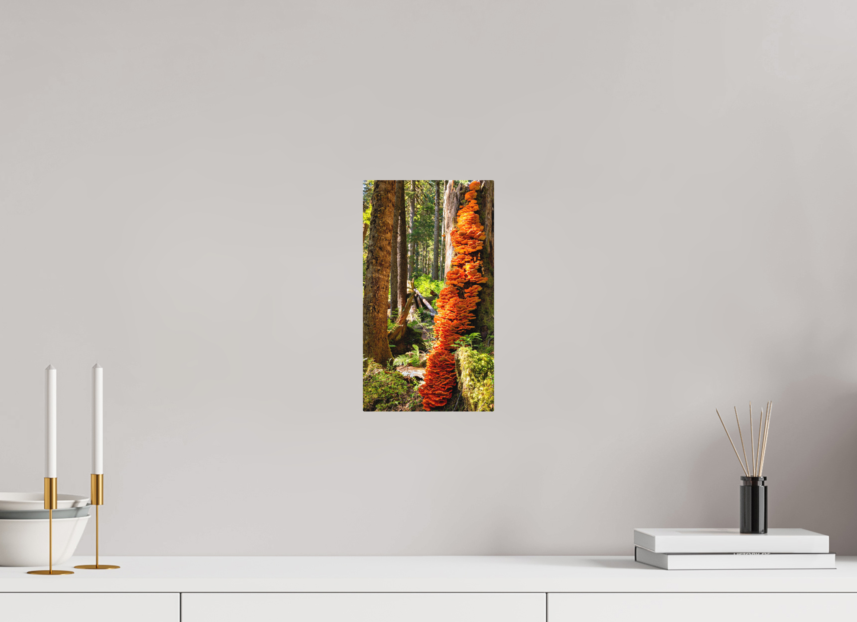 6.8 x 12″, Direct Print on Aluminum with mounting hardware included. Flaming Stump