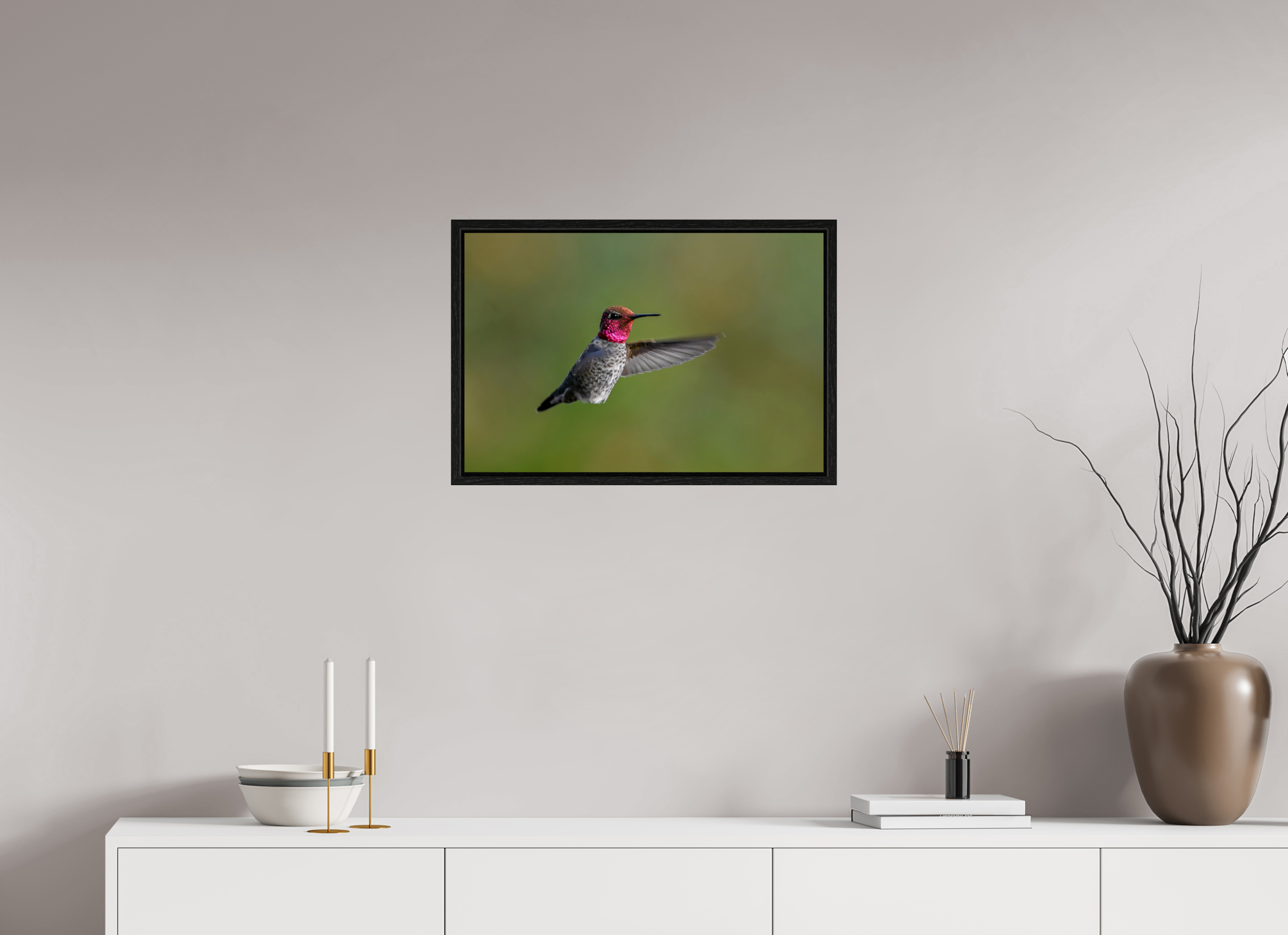 24 x 16″, Floater Frame Glowing Anna's