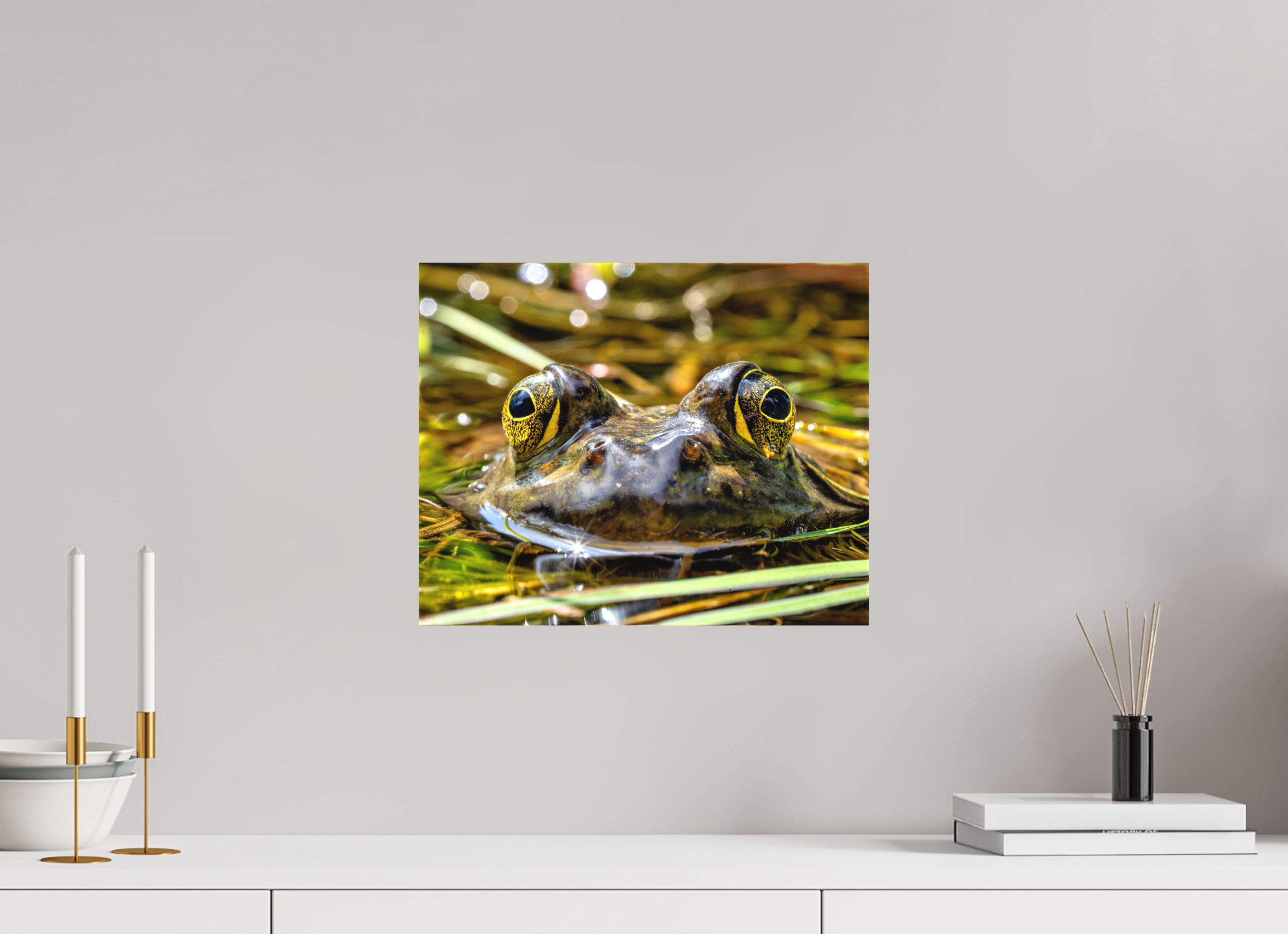 15 x 12″, Matte Canvas with Wrapped Edges Eyes of Frog