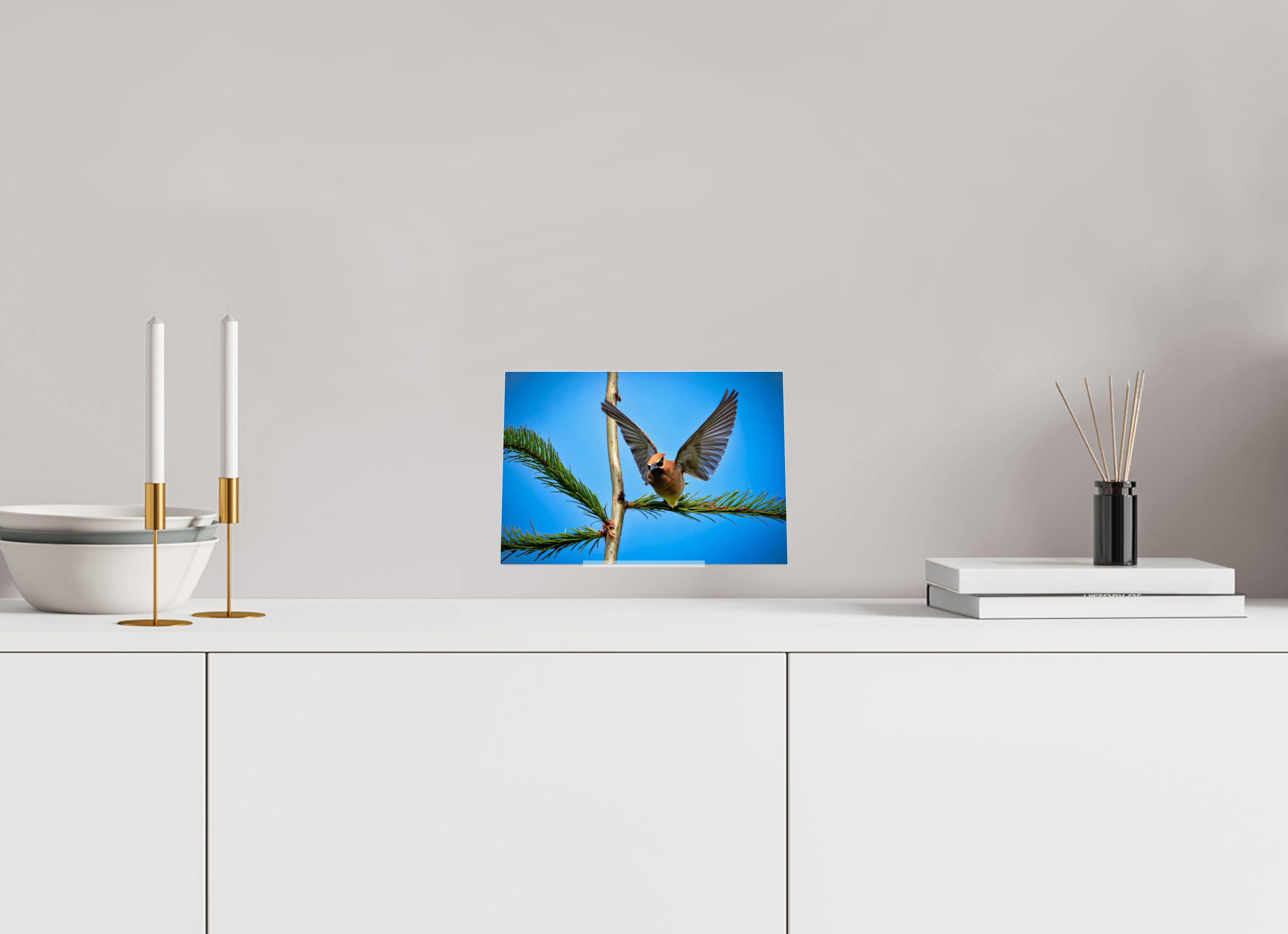 9.4 x 6.5″, Acrylic Glass on Stand Wing of the Waxwing