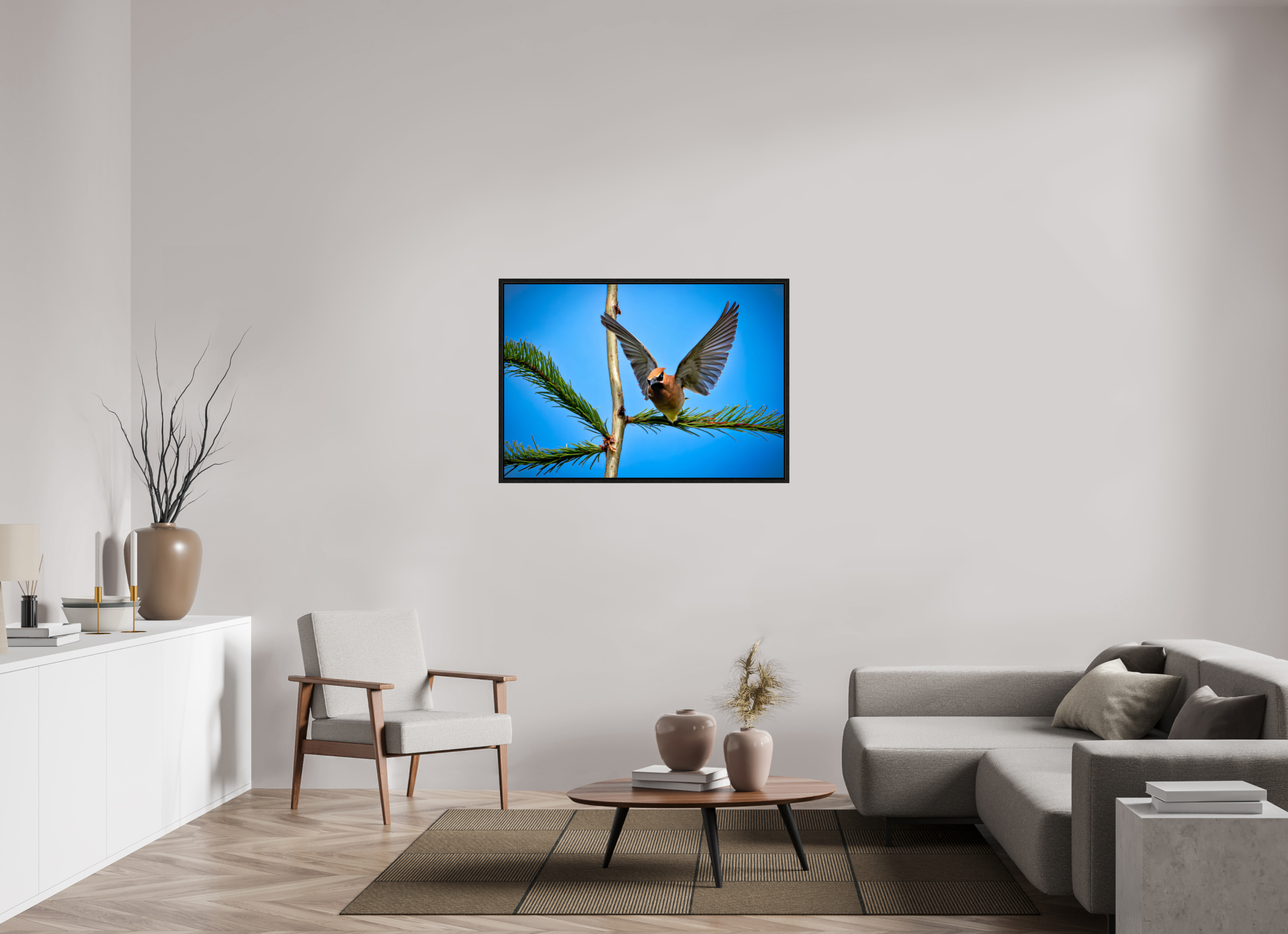 44.8 x 31″, Floater Frame Wing of the Waxwing