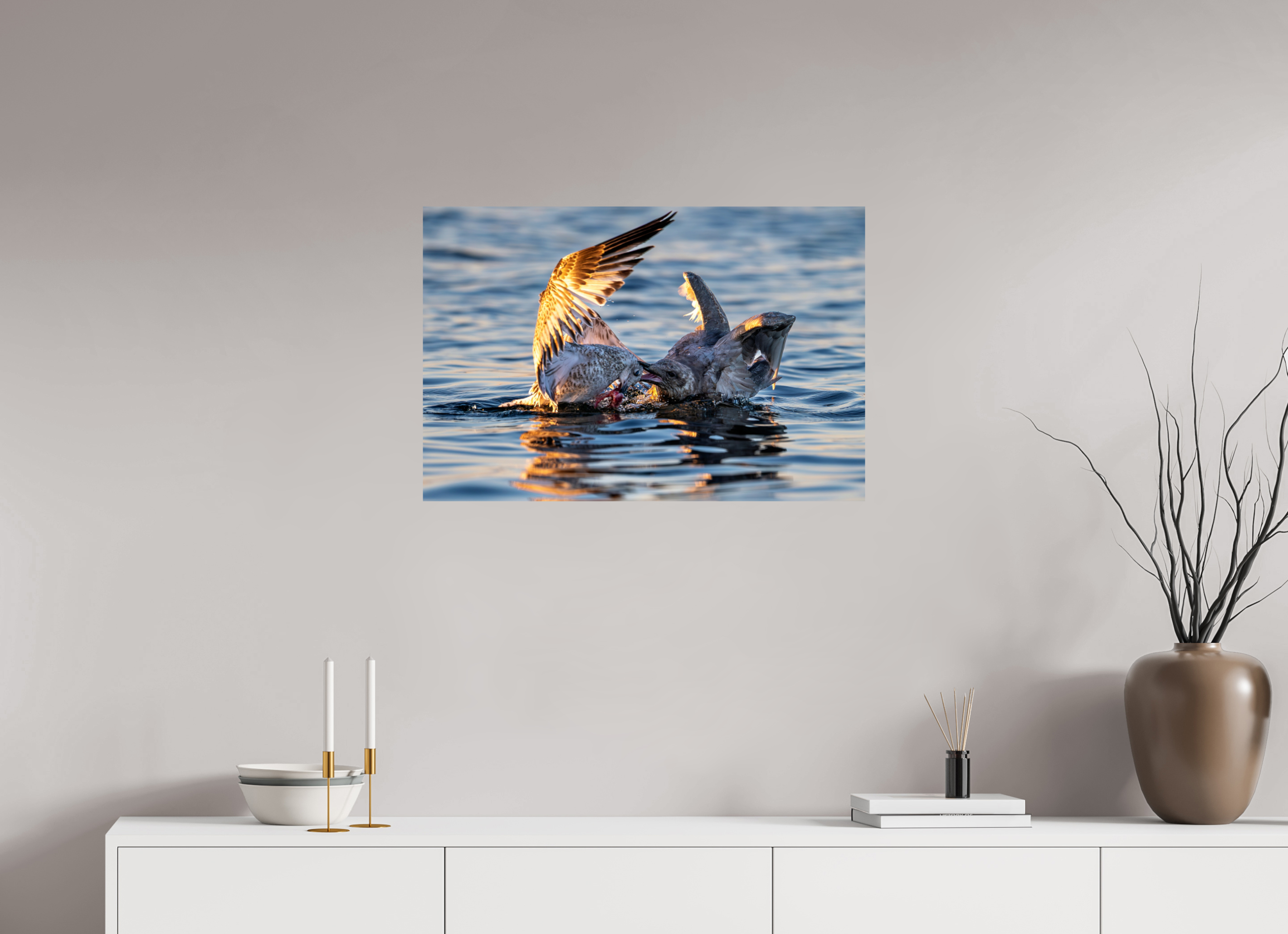 30 x 20″, Photo Print On Fuji Crystal DP II Seabird Battle