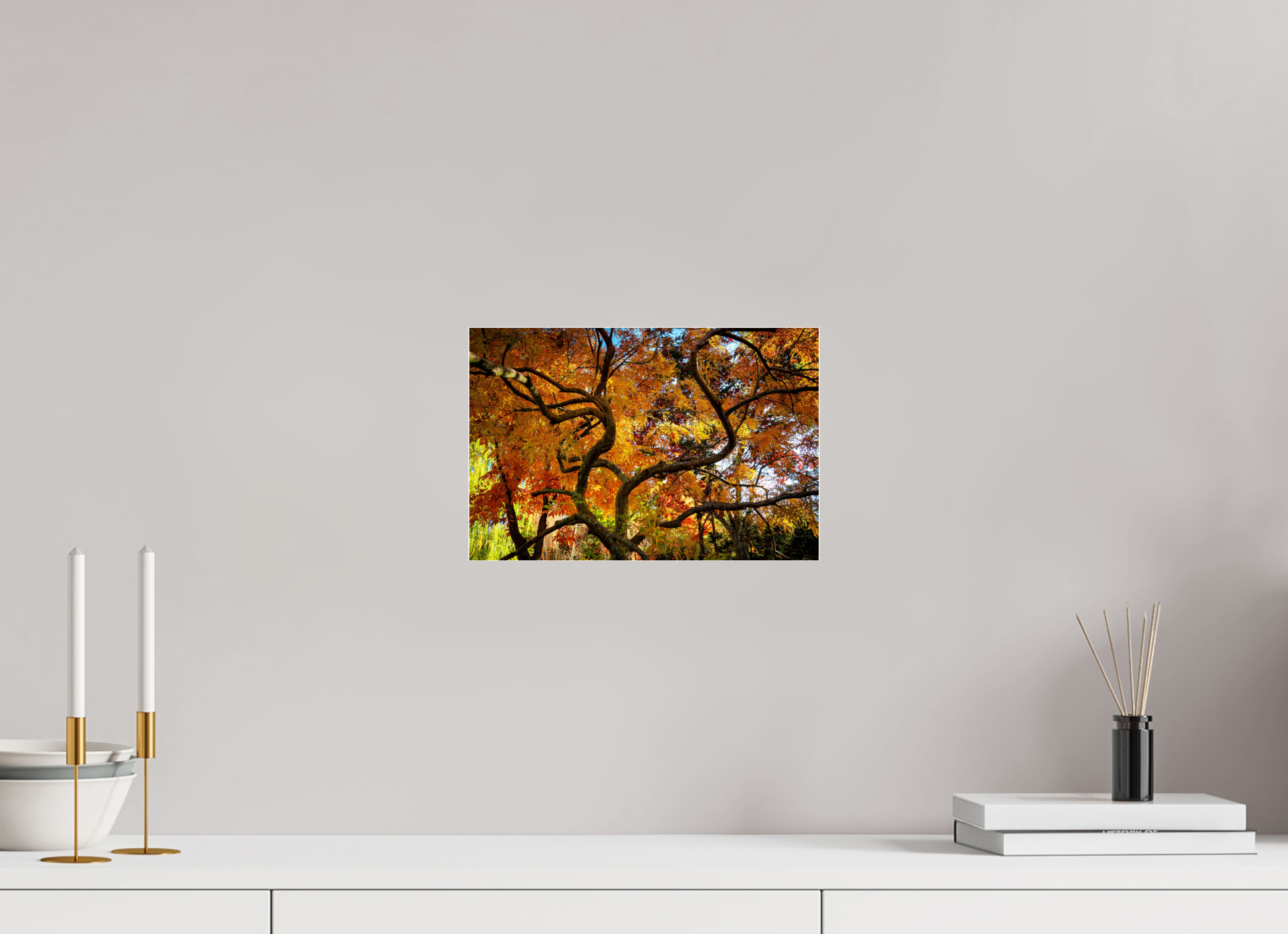 12 x 8″, Photo Mounted Under Acrylic Glass Autumn Maple