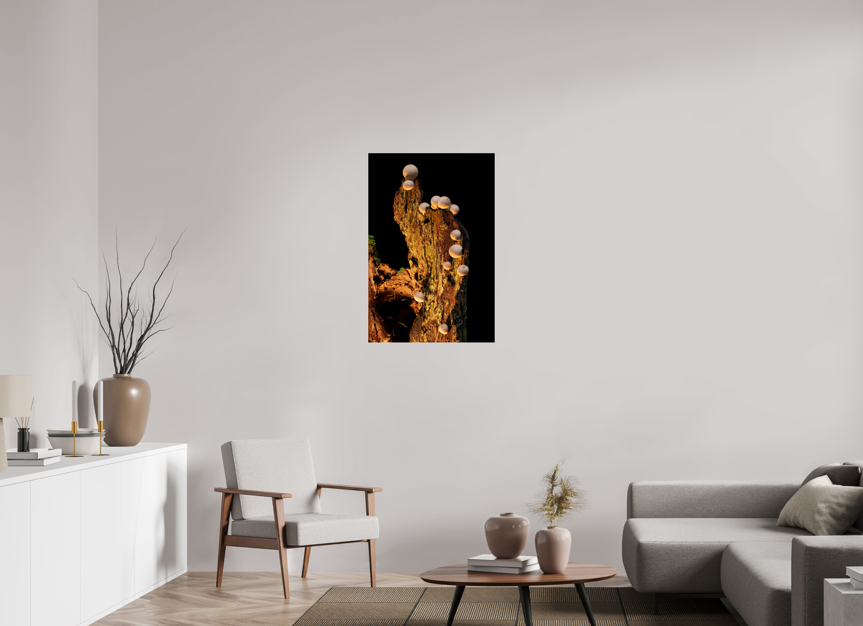 24 x 36″, Photo Mounted Under Acrylic Glass Stepping Mushrooms