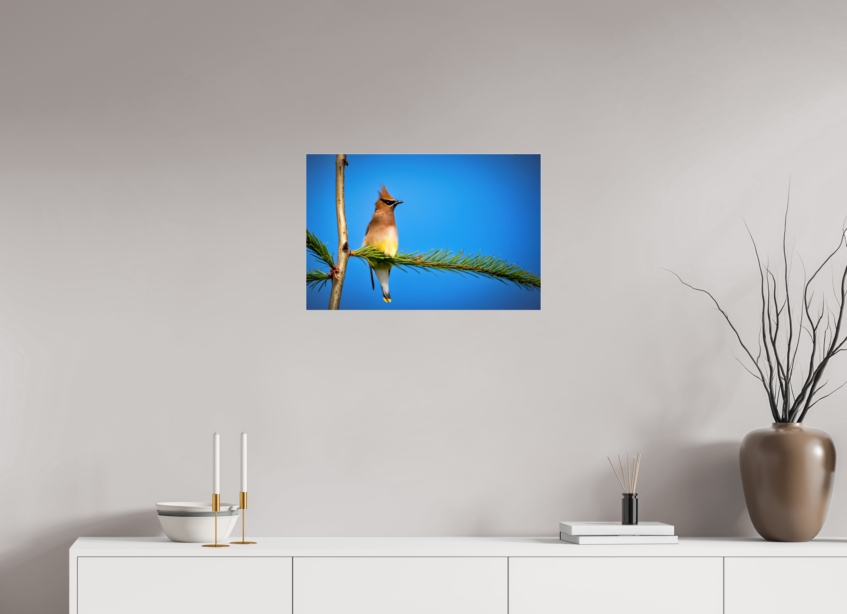 24 x 16″, Photo Mounted Under Acrylic Glass Waxwing