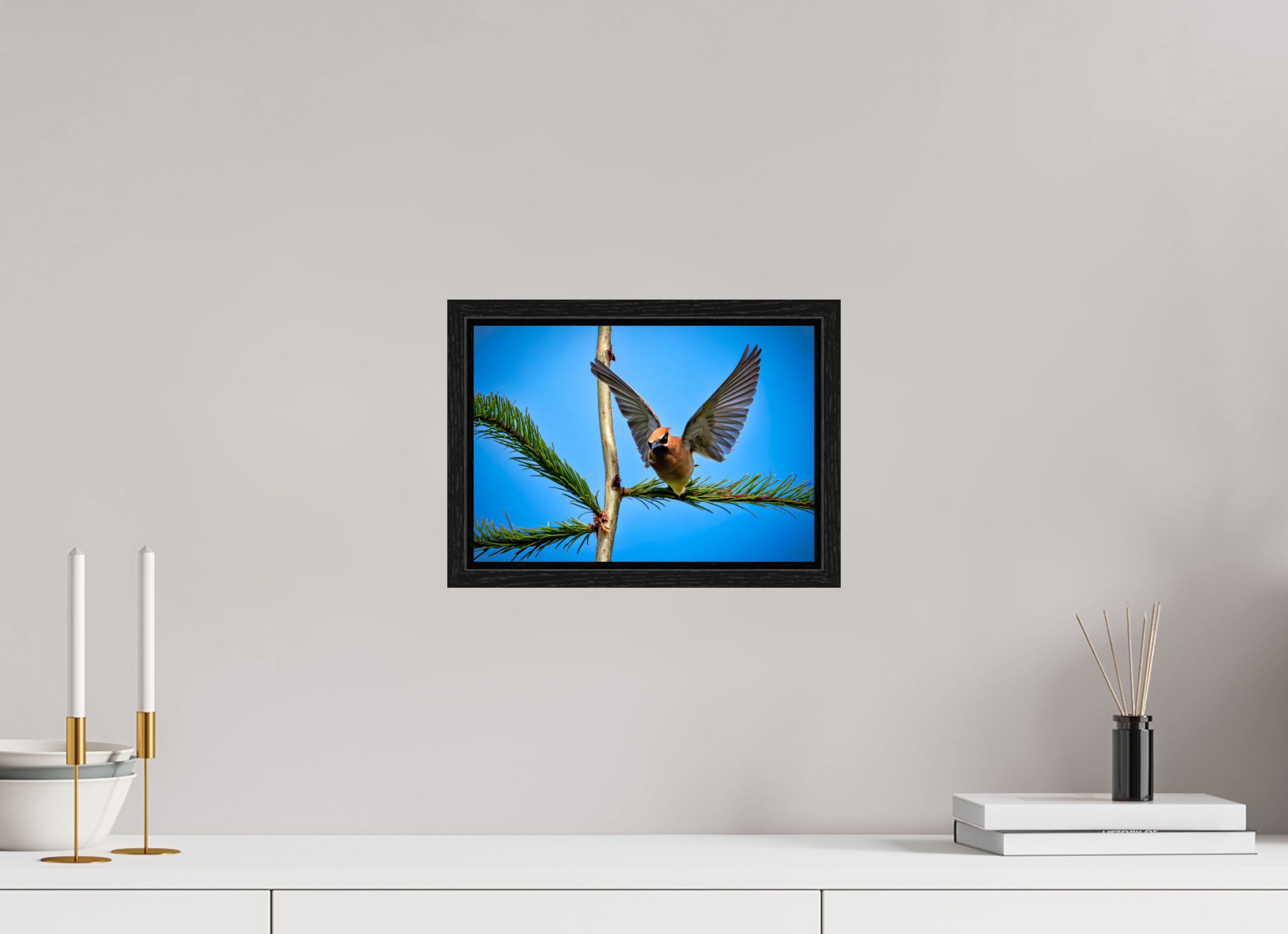 11.5 x 8″, Floater Frame Wing of the Waxwing