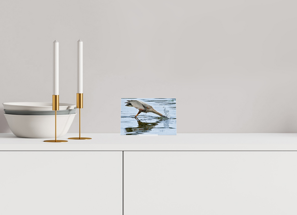 6 x 4″, Acrylic Glass on Stand The Plunge