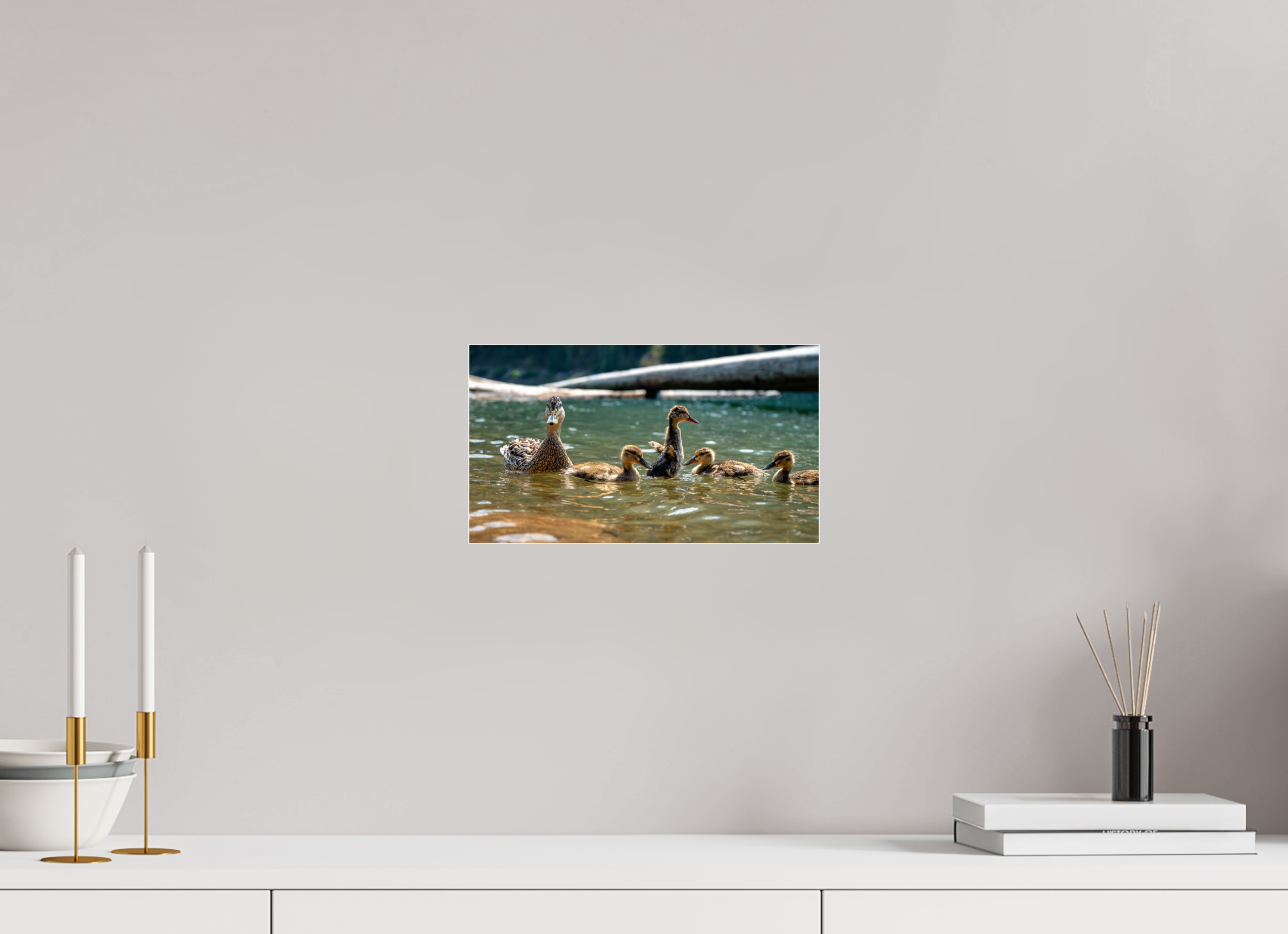 12 x 6.8″, Photo Mounted Under Acrylic Glass Ducklings These Days.