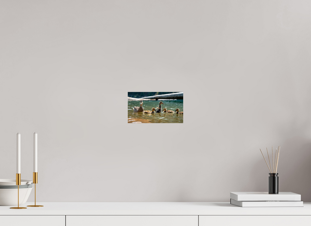 8 x 4.5″, Photo Print On Fuji Crystal DP II Ducklings These Days.