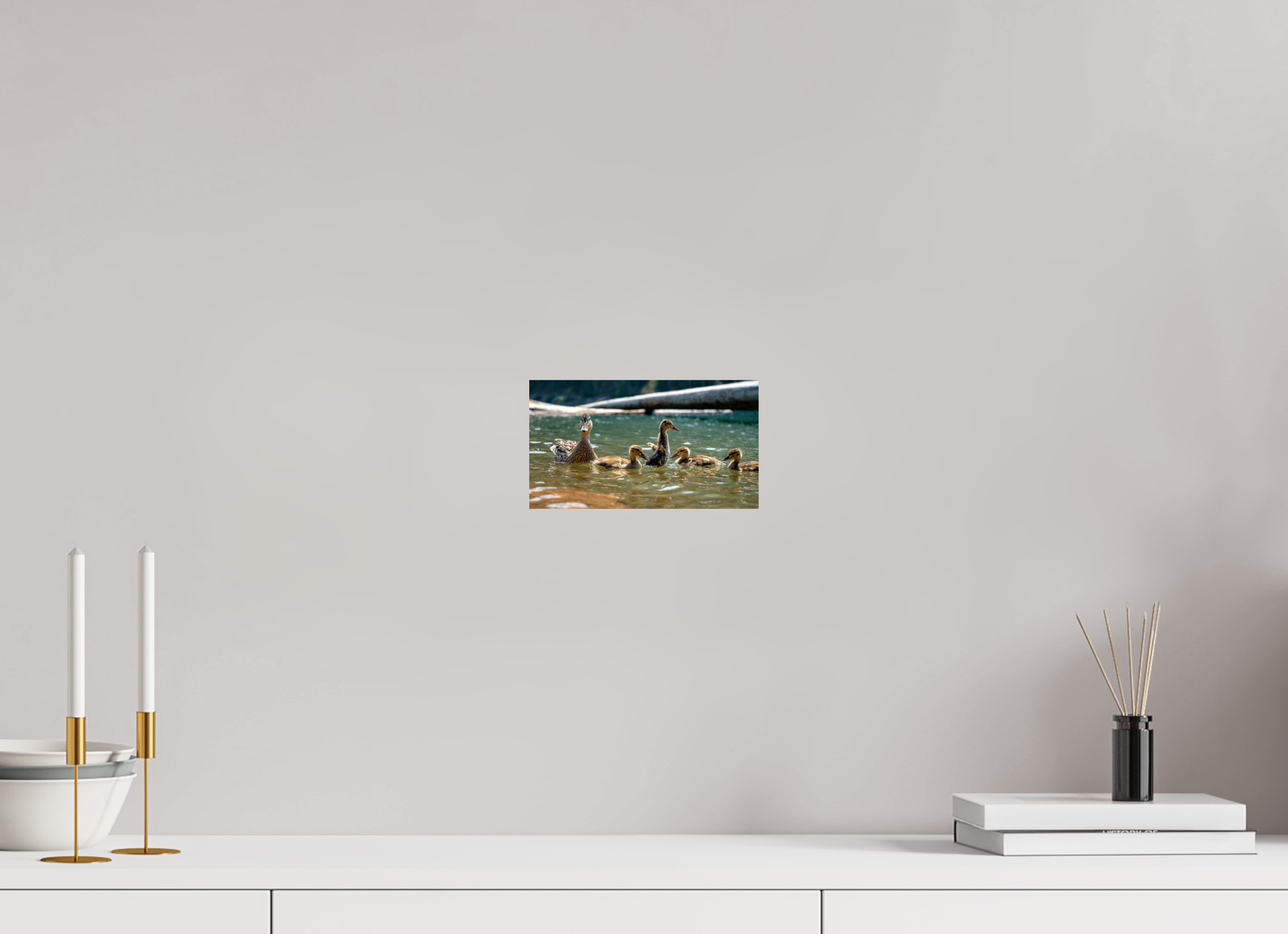 8 x 4.5″, Photo Print On Fuji Crystal DP II Ducklings These Days.