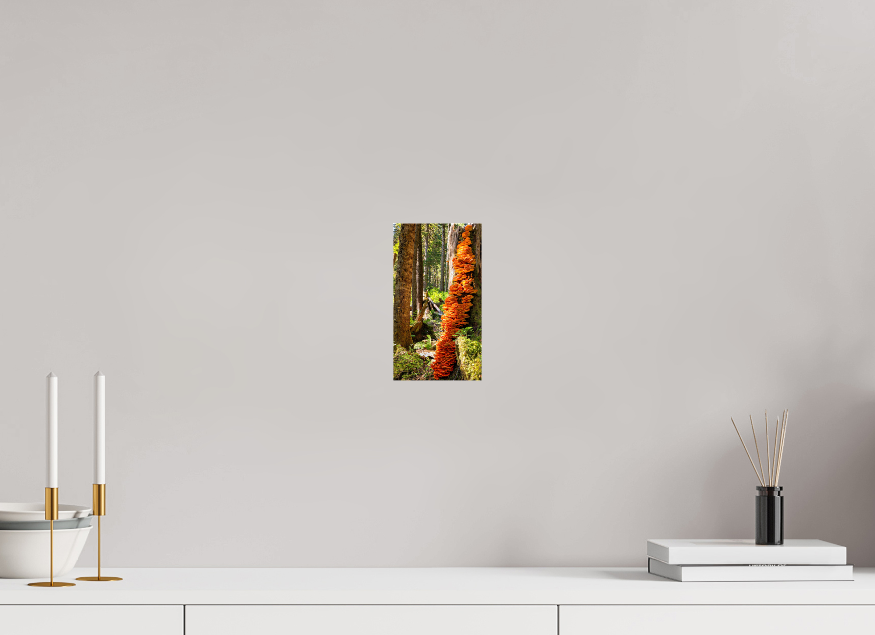 4.5 x 8″, Photo Mounted Under Acrylic Glass Flaming Stump