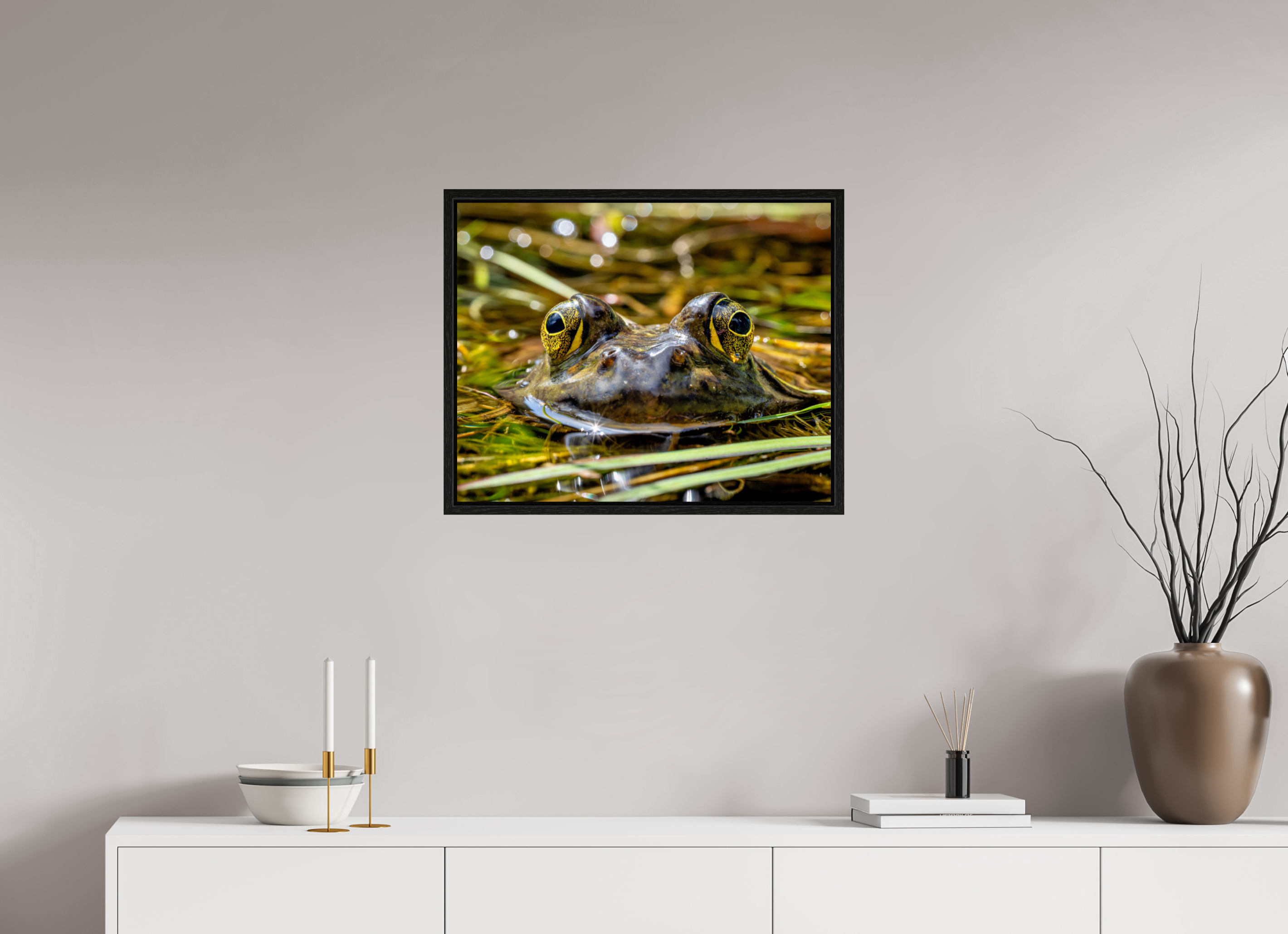 25 x 20″, Floater Frame Eyes of Frog