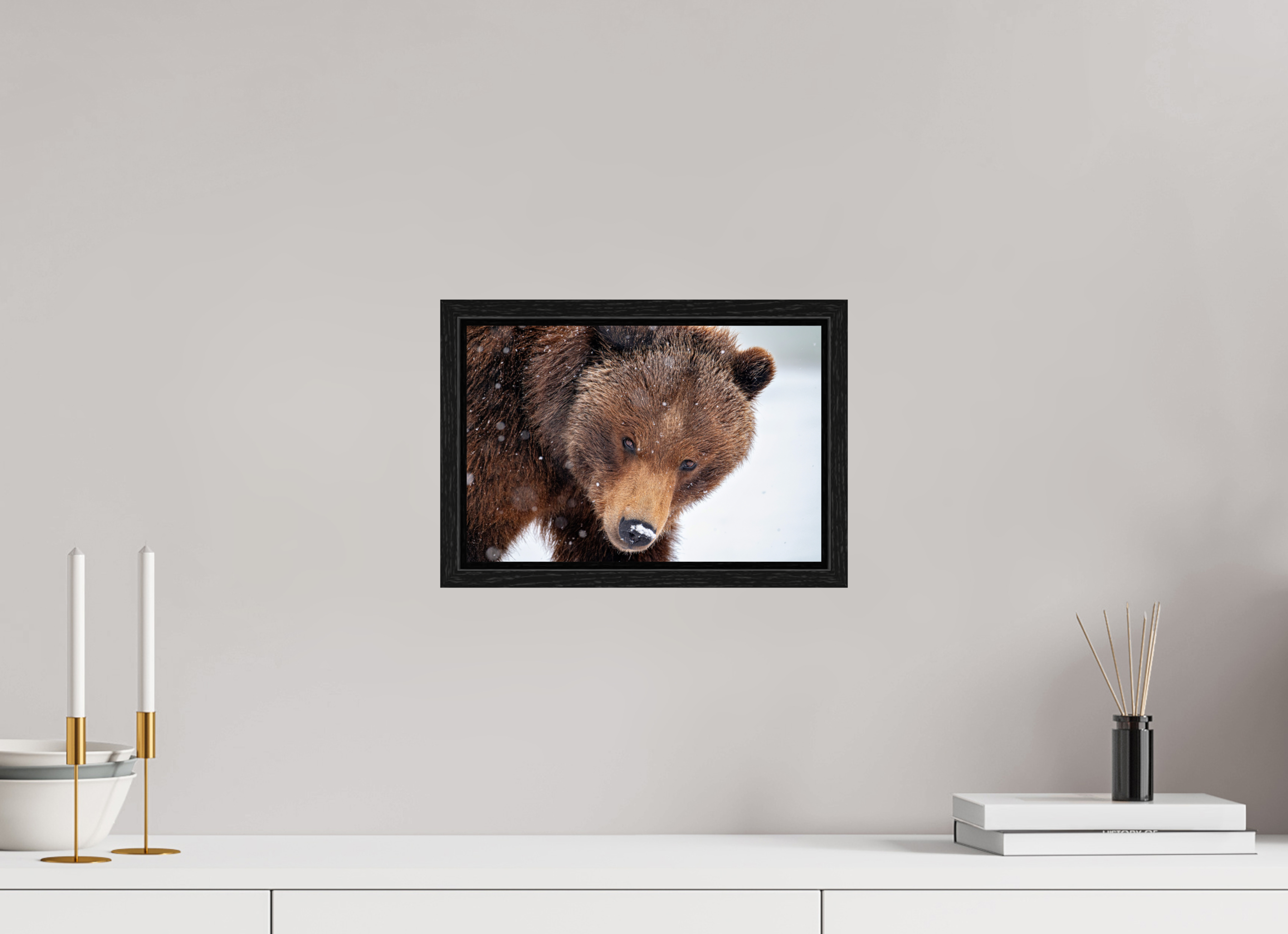 12 x 8″, Floater Frame Bear Stare