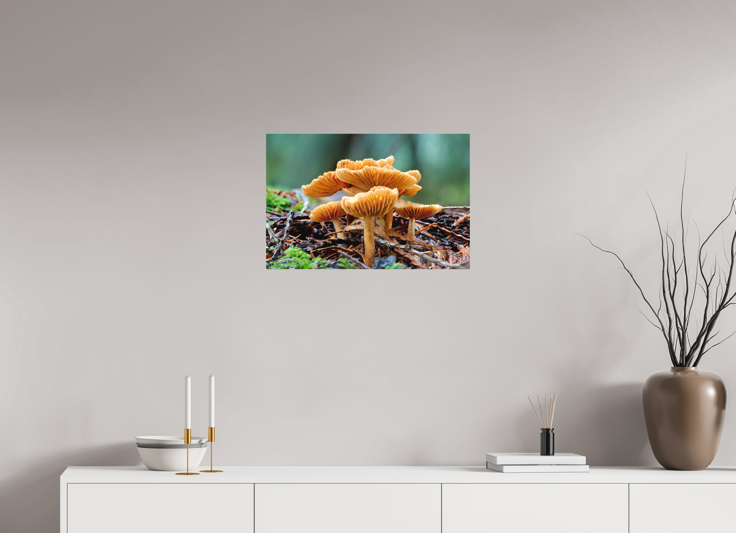 24 x 16″, Direct Print on Aluminum with mounting hardware included. Family of Fungi