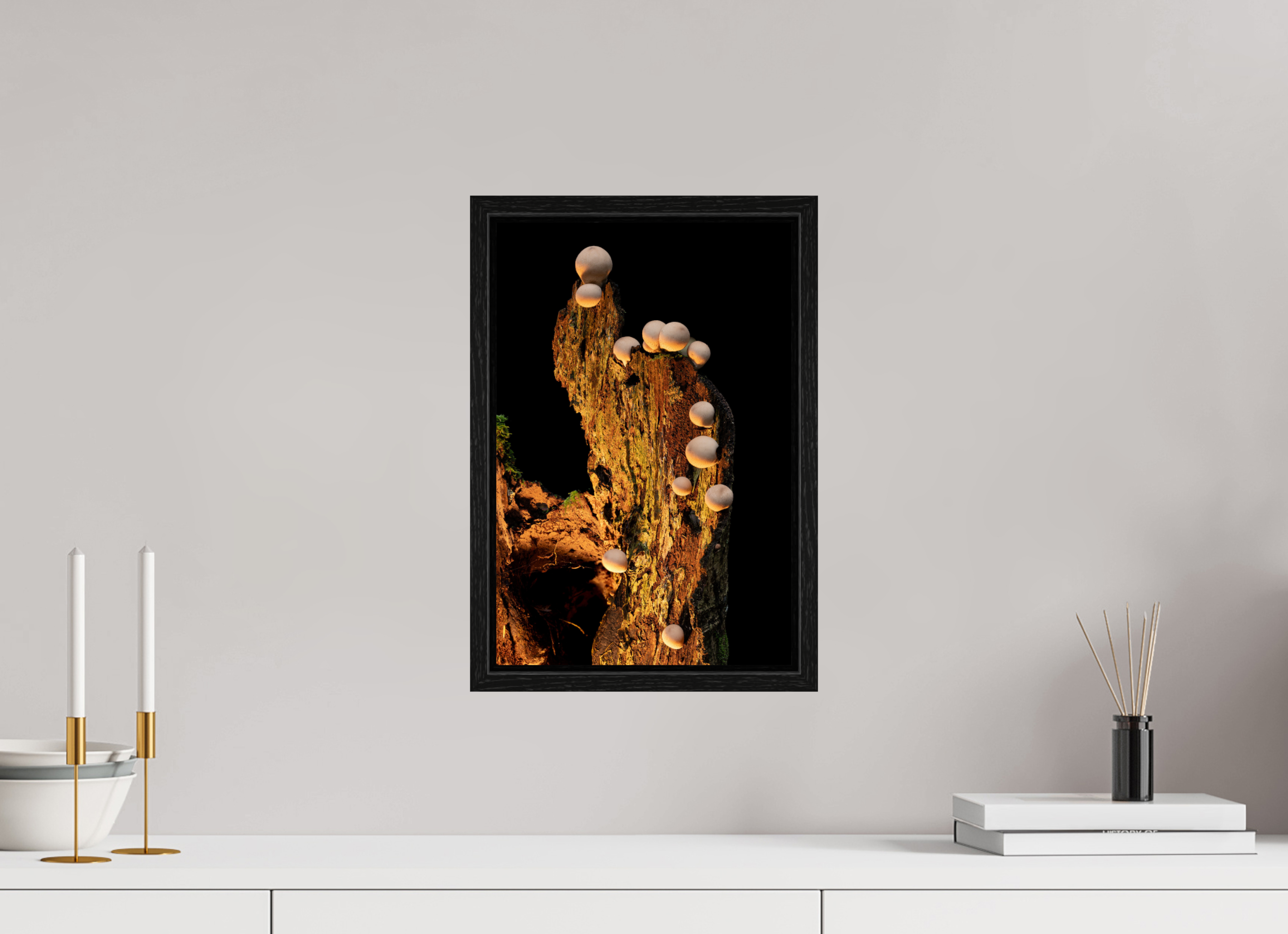 10 x 15″, Floater Frame Stepping Mushrooms