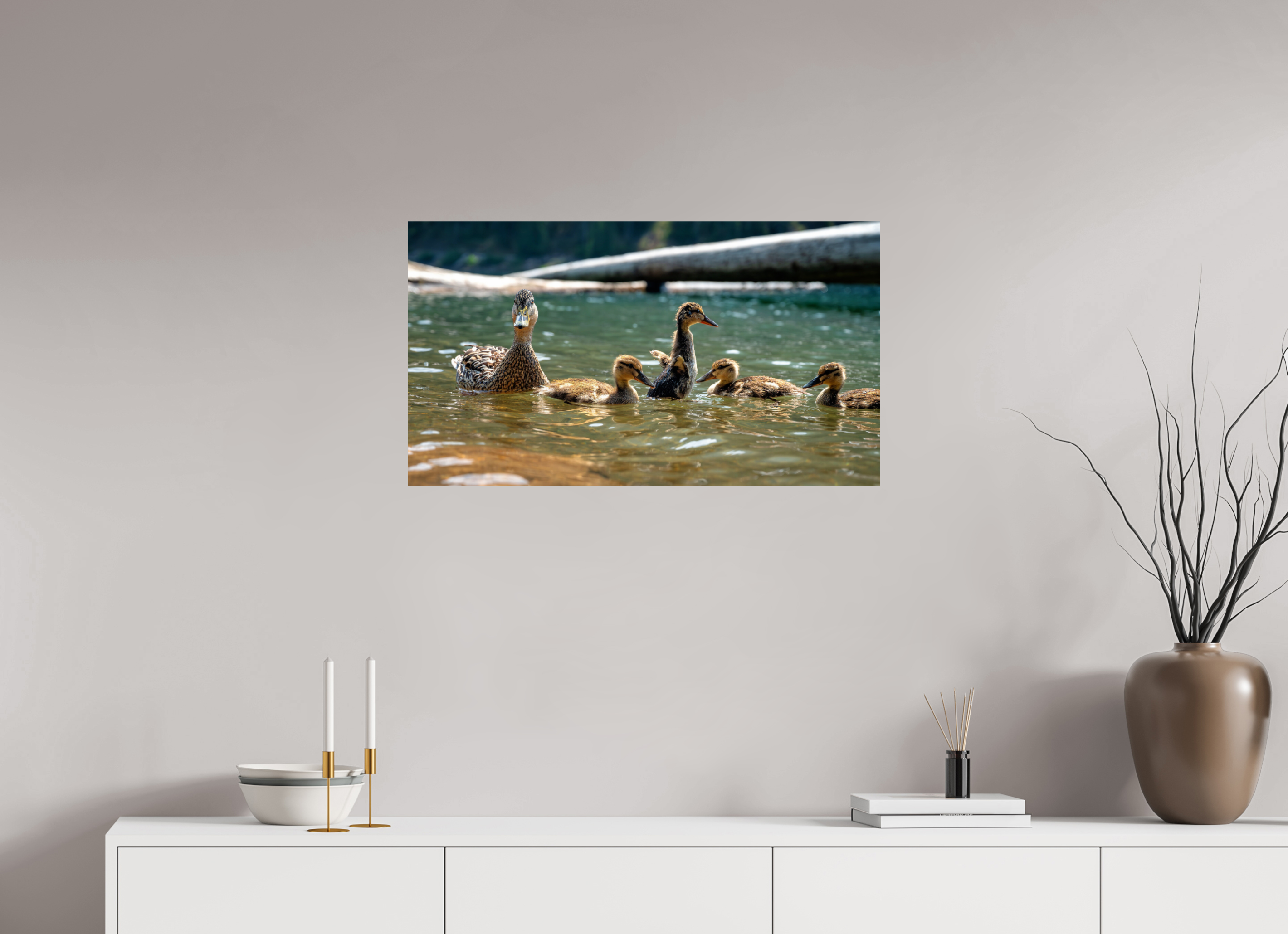 32 x 18″, Photo Print On Fuji Crystal DP II Ducklings These Days.