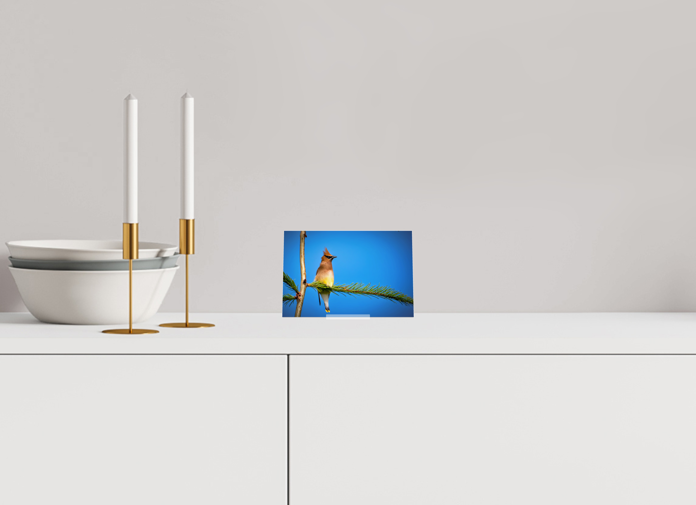 6 x 4″, Acrylic Glass on Stand Waxwing