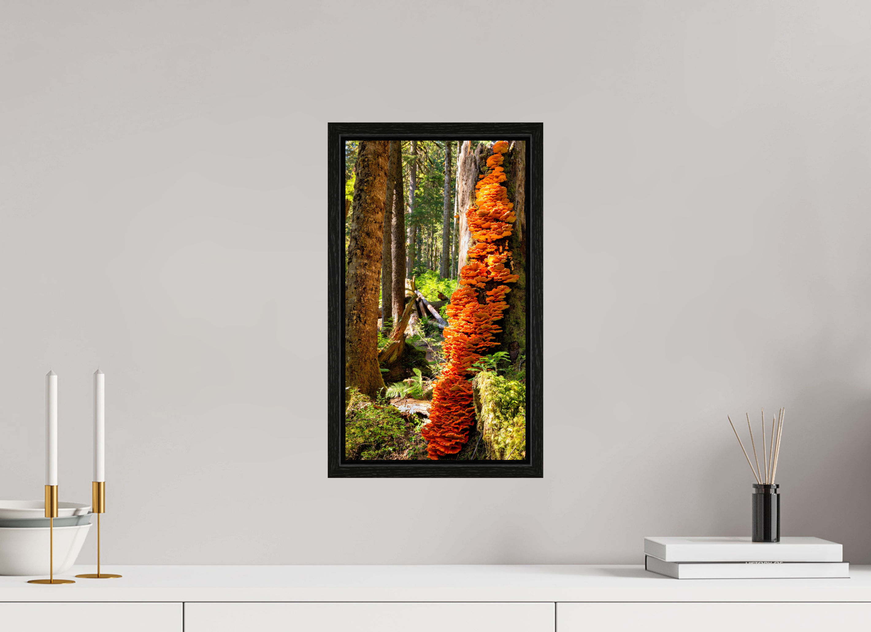 9 x 16″, Floater Frame Flaming Stump