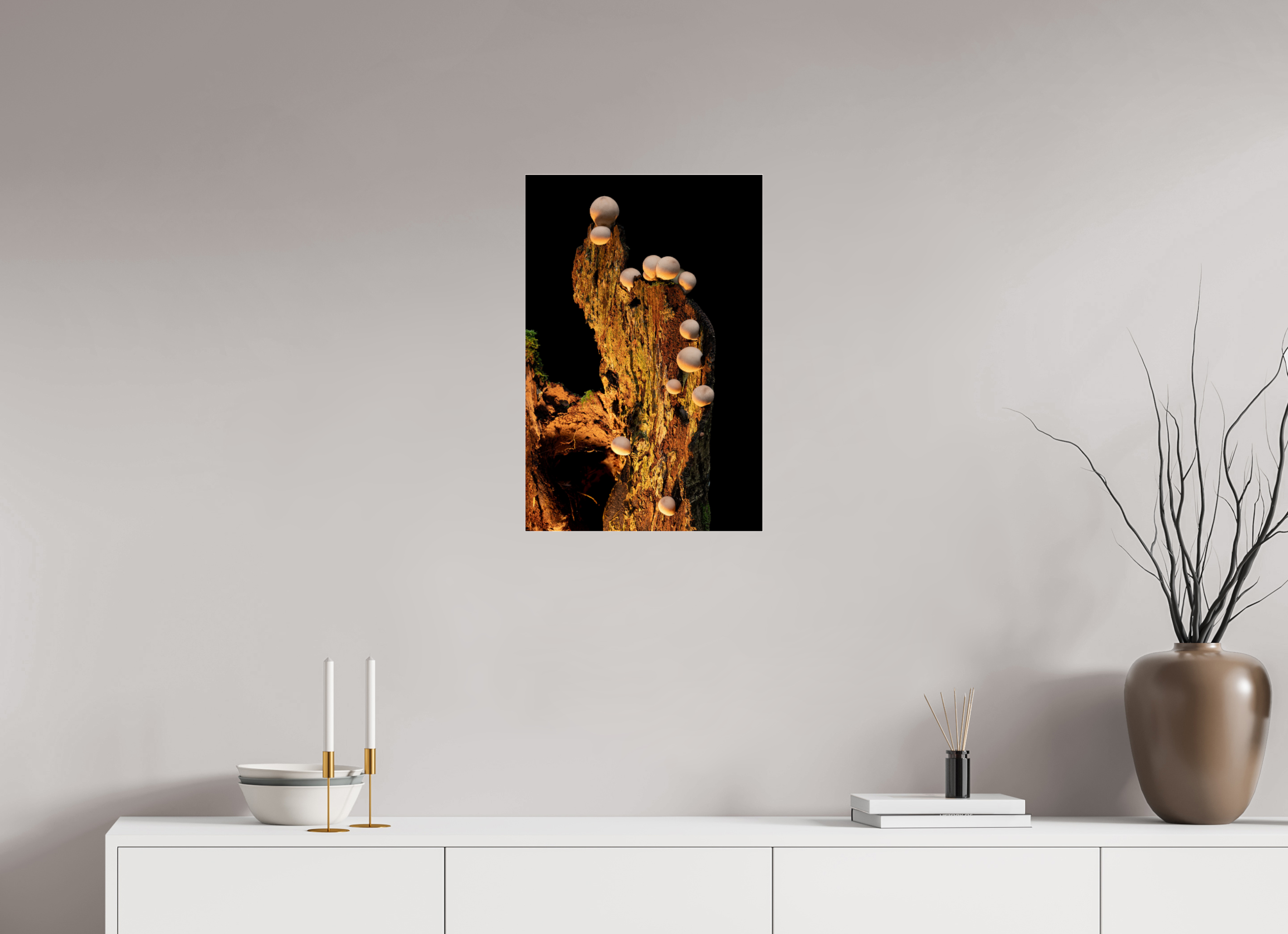 16 x 24″, Photo Mounted Under Acrylic Glass Stepping Mushrooms