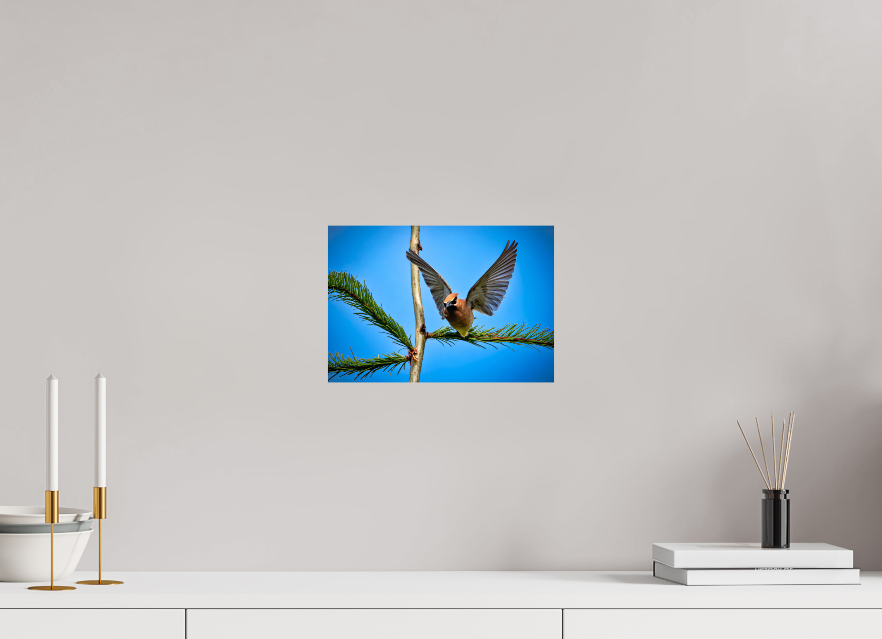 11.5 x 8″, Photo Print On Fuji Crystal DP II Wing of the Waxwing
