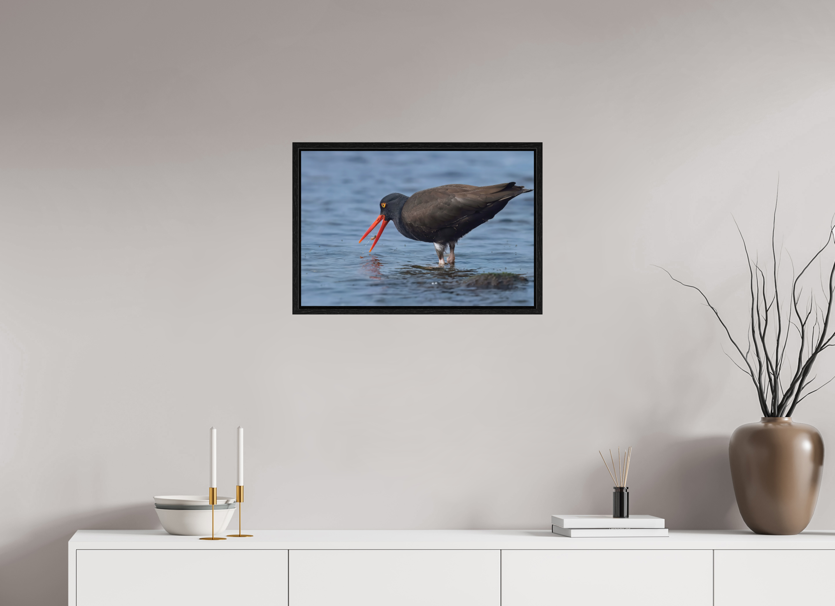 24 x 16″, Floater Frame Oystercatcher