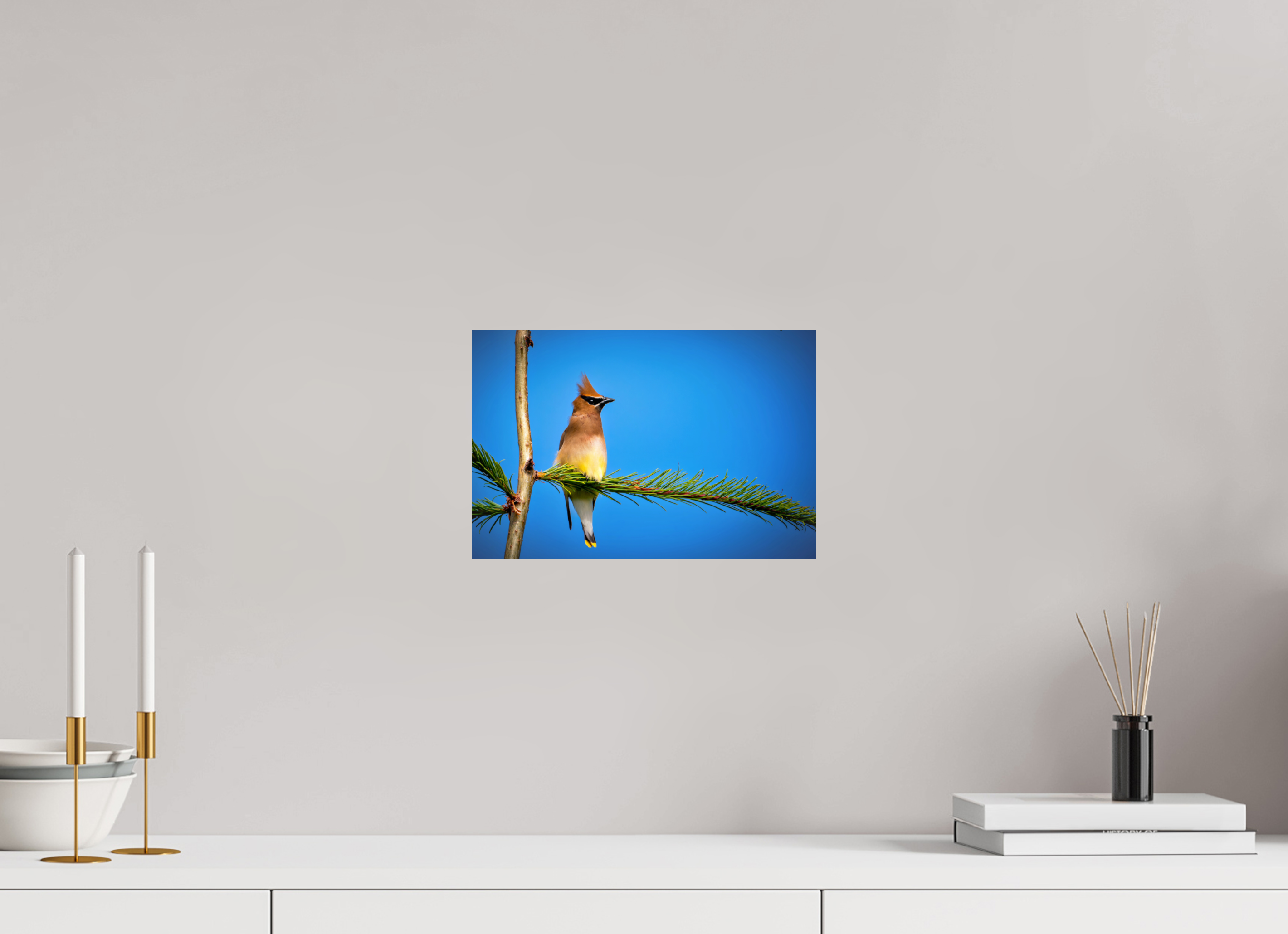 12 x 8″, Photo Print On Fuji Crystal DP II Waxwing