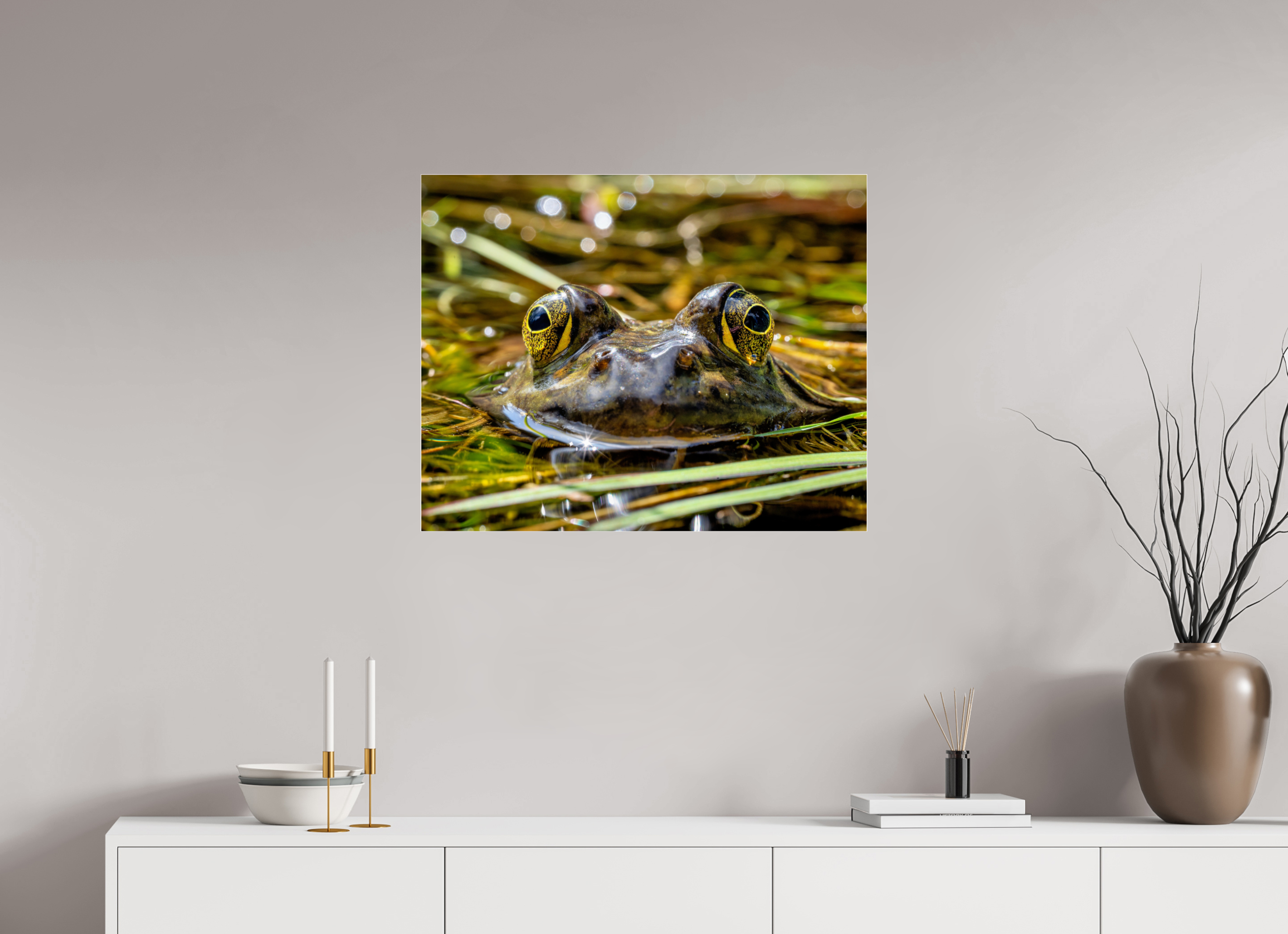 30 x 24″, Photo Mounted Under Acrylic Glass Eyes of Frog