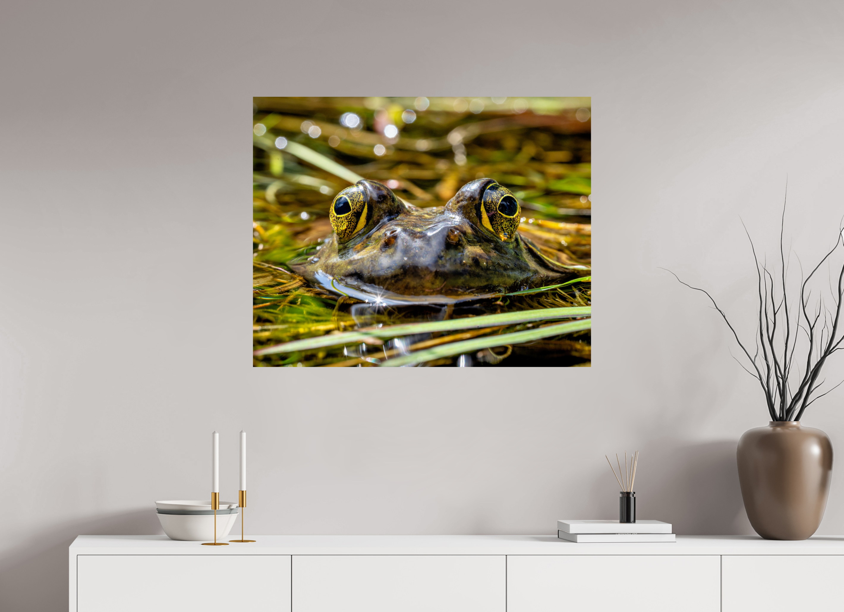 35 x 28″, Photo Print On Fuji Crystal DP II Eyes of Frog