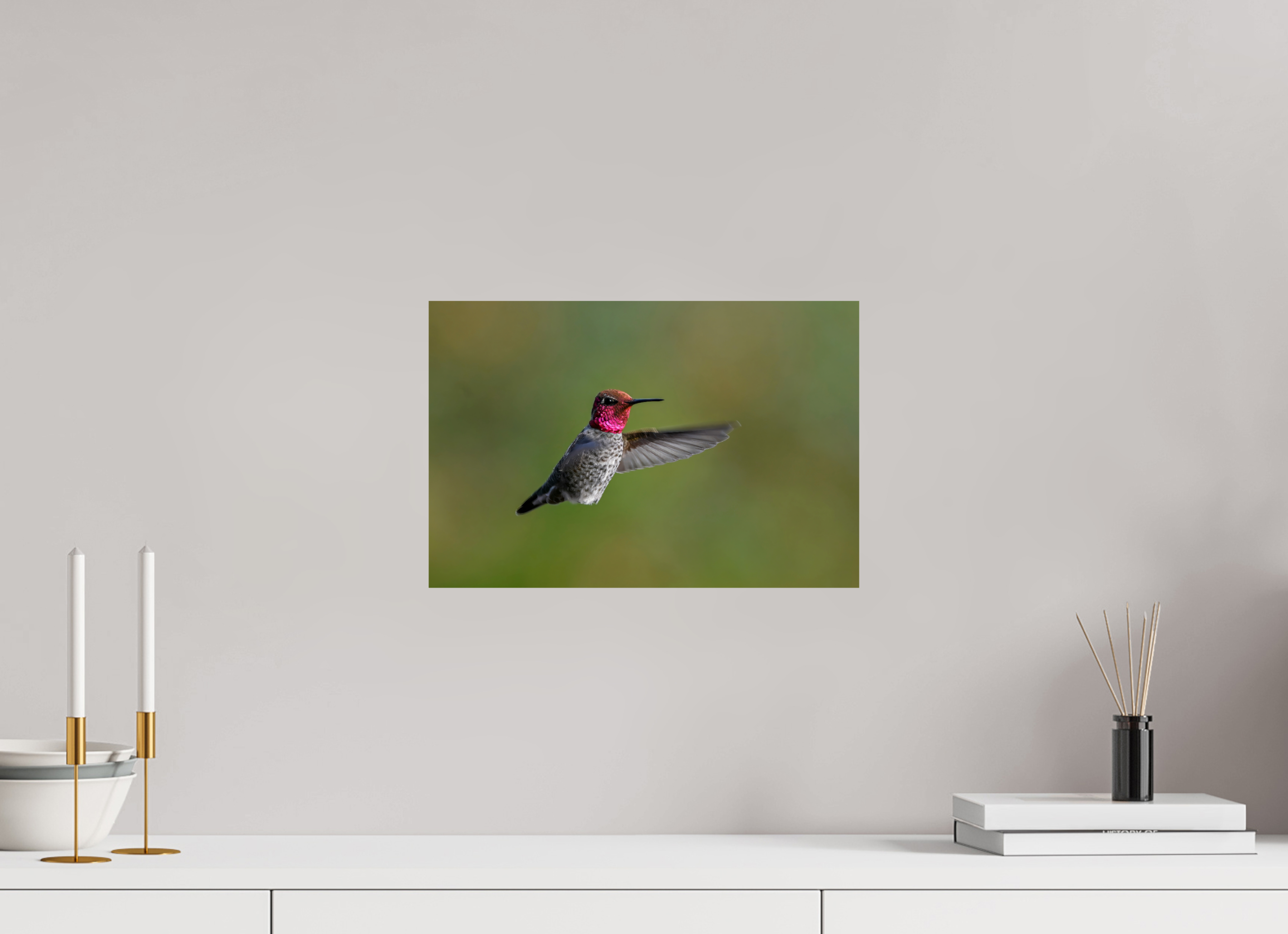 15 x 10″, Photo Print On Fuji Crystal DP II Glowing Anna's