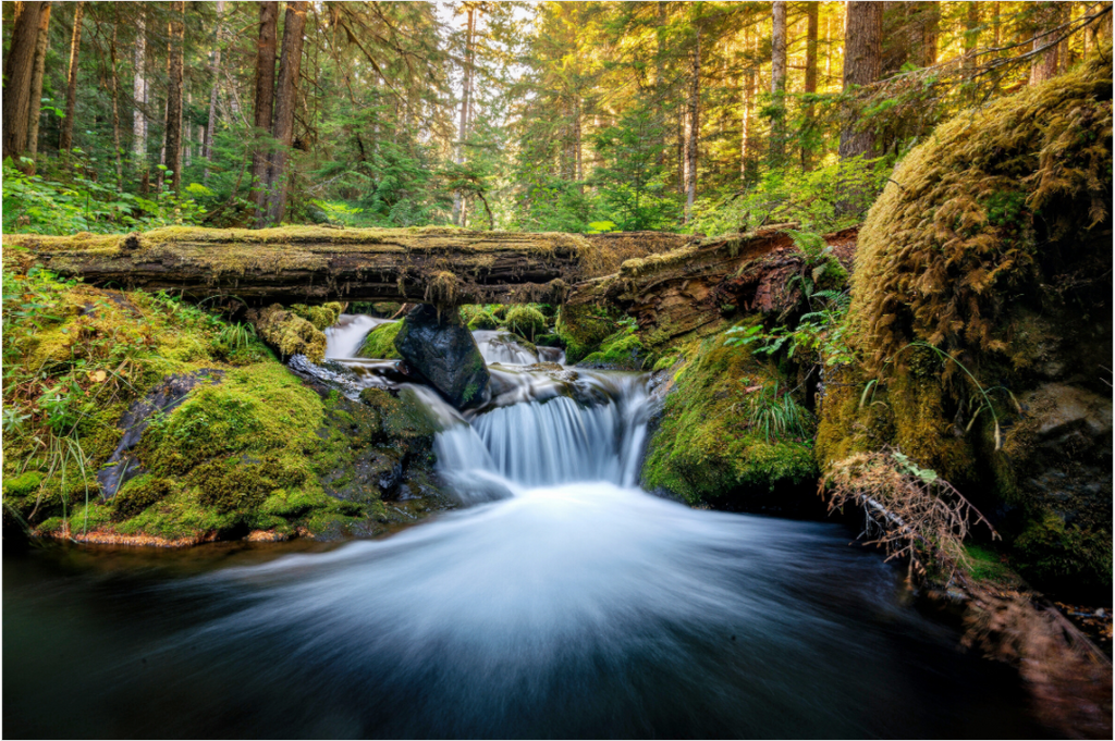 Main image Falls on the Quilcene River