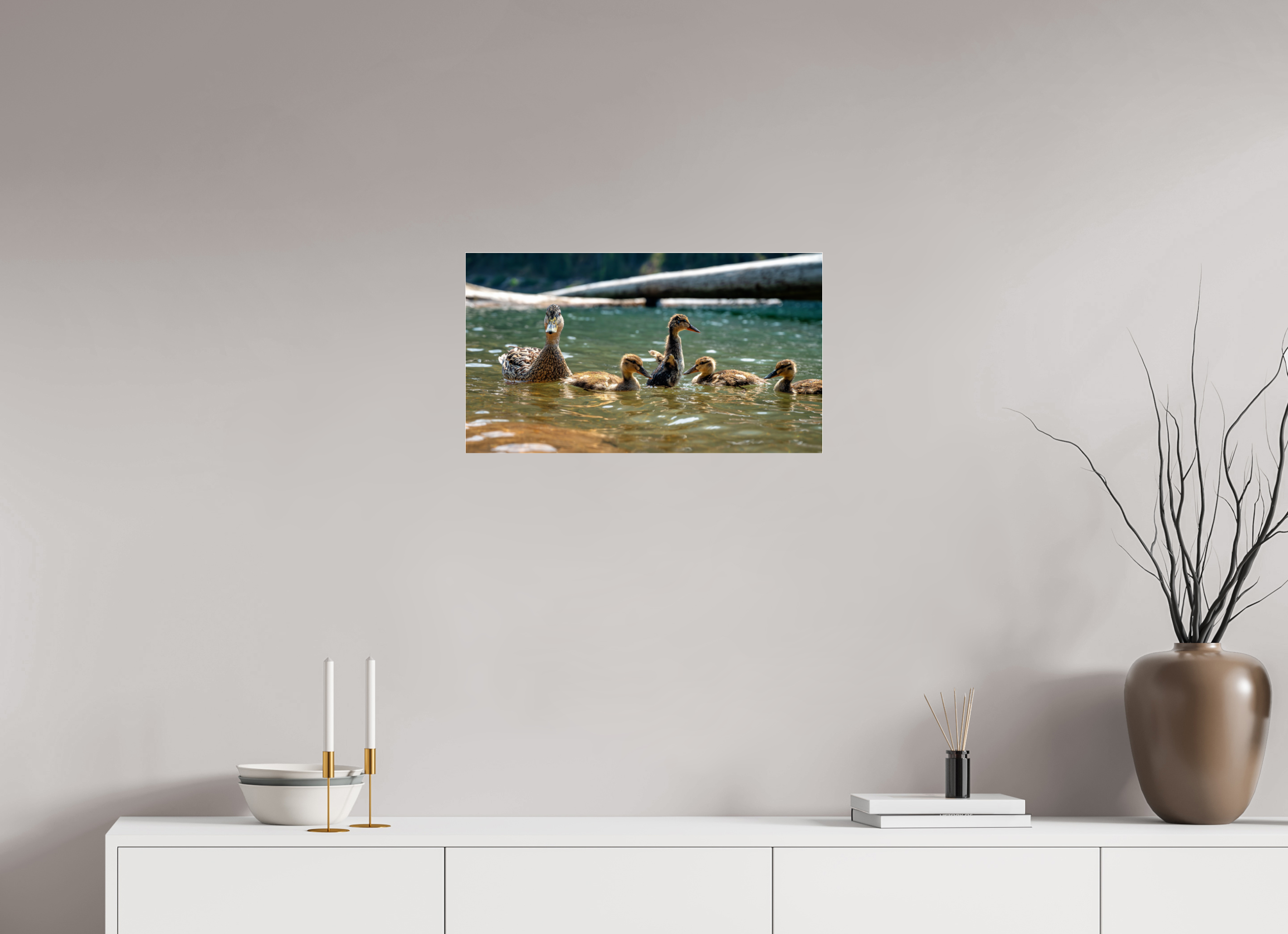 24 x 13.5″, Photo Mounted Under Acrylic Glass Ducklings These Days.