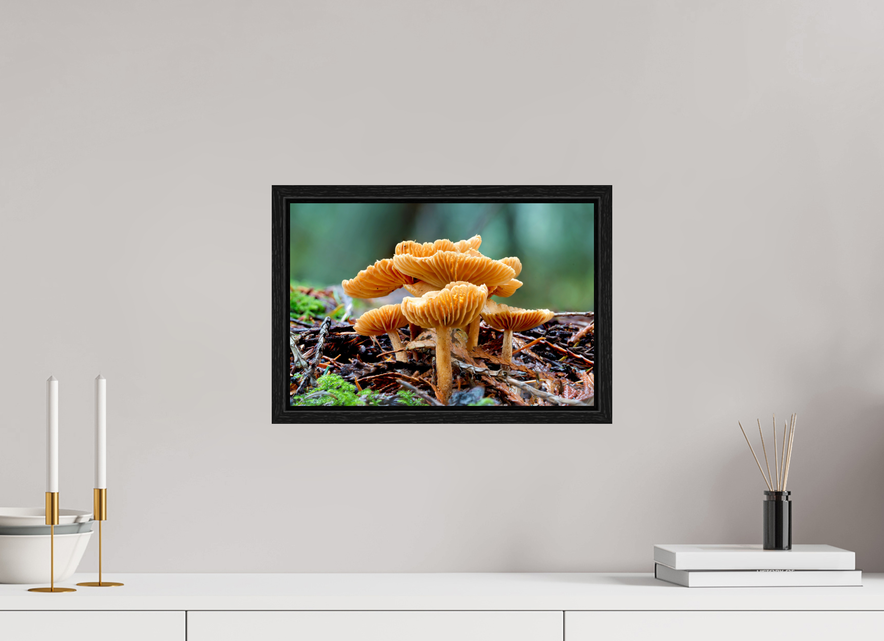 15 x 10″, Floater Frame Family of Fungi