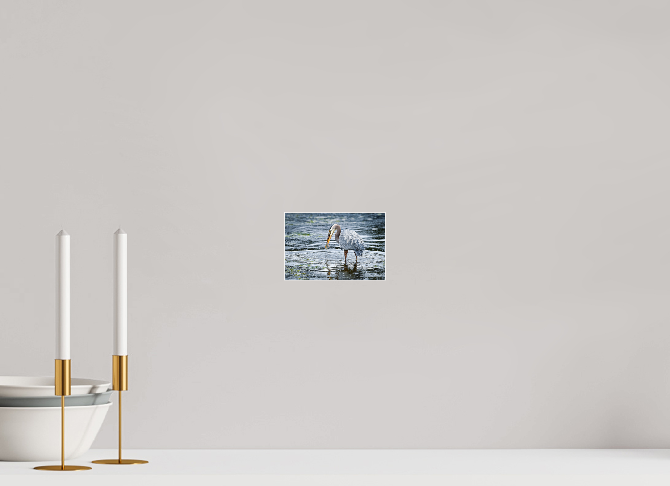 6 x 4″, Photo Mounted Under Acrylic Glass Surprised Dinner
