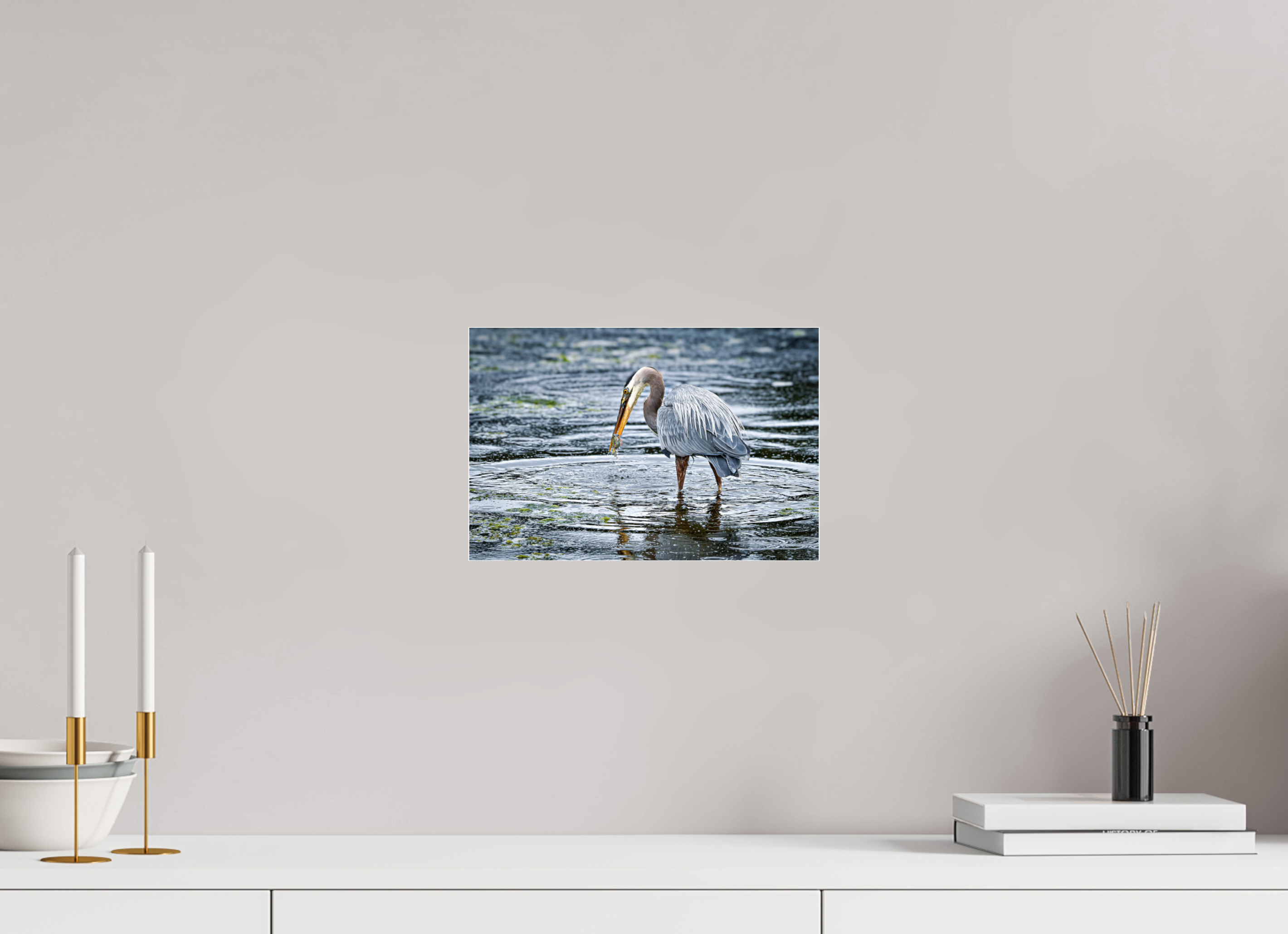 12 x 8″, Photo Mounted Under Acrylic Glass Surprised Dinner