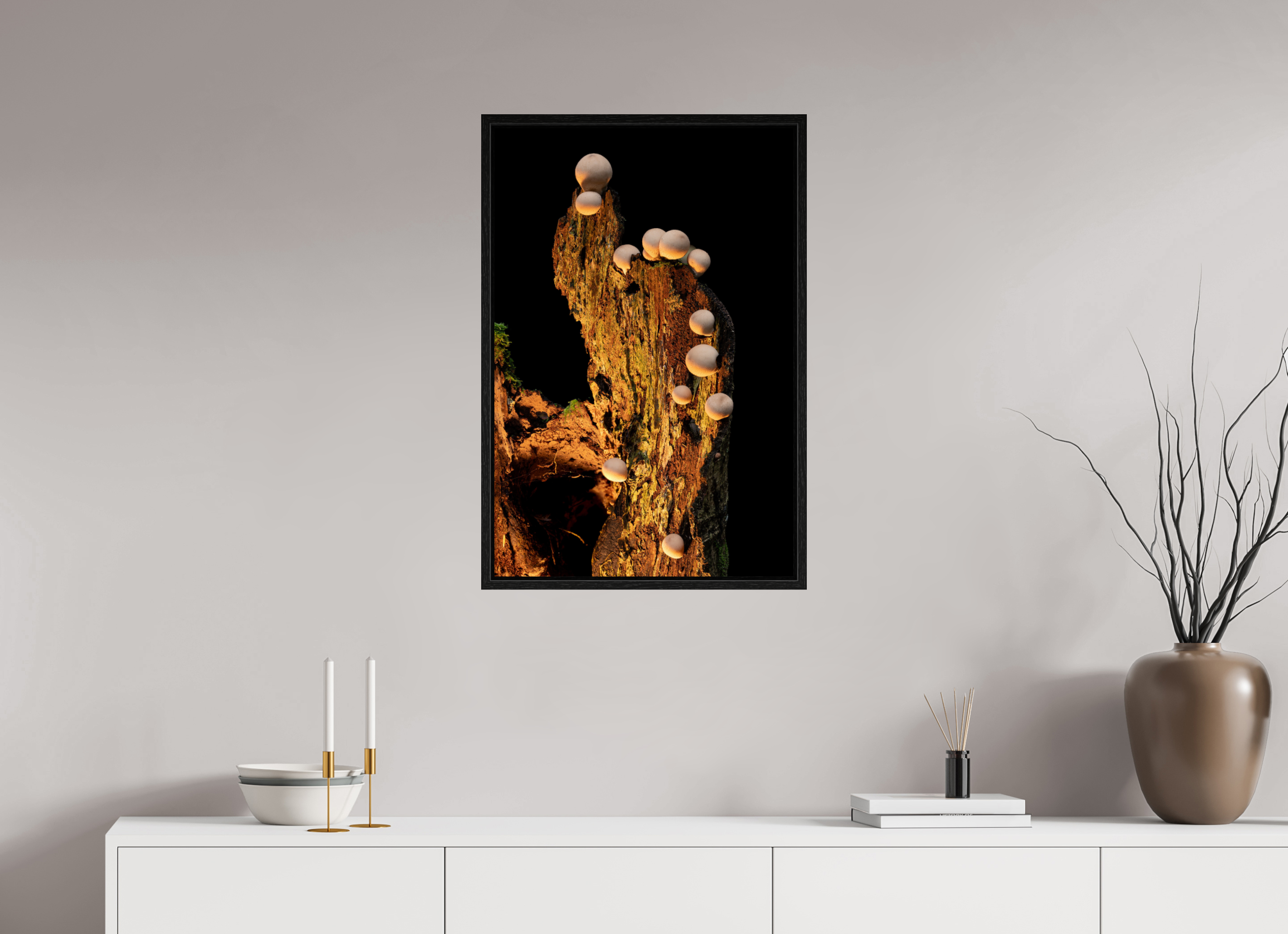 20 x 30″, Floater Frame Stepping Mushrooms