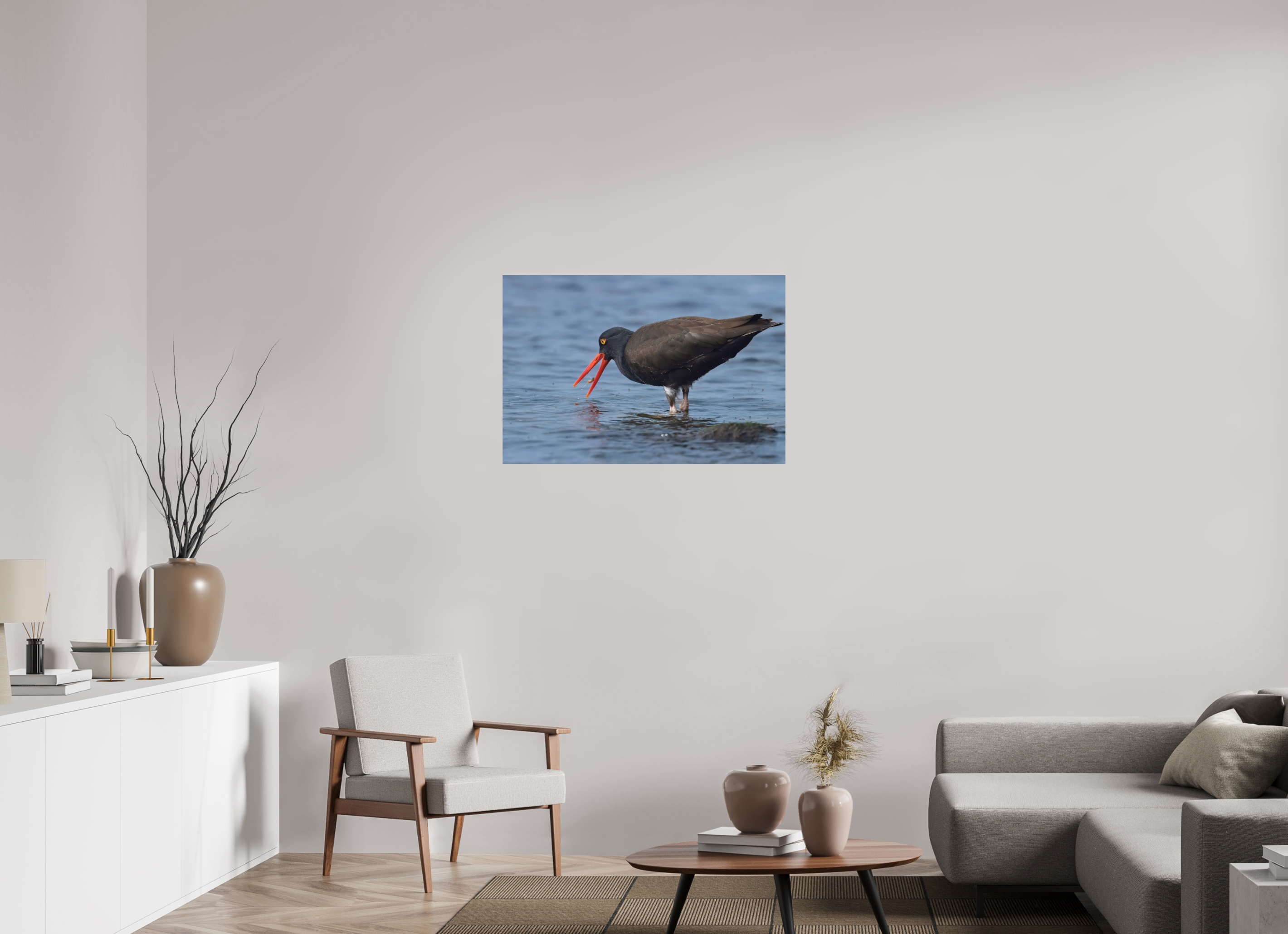 36 x 24″, Photo Print on Aluminum Backing Oystercatcher