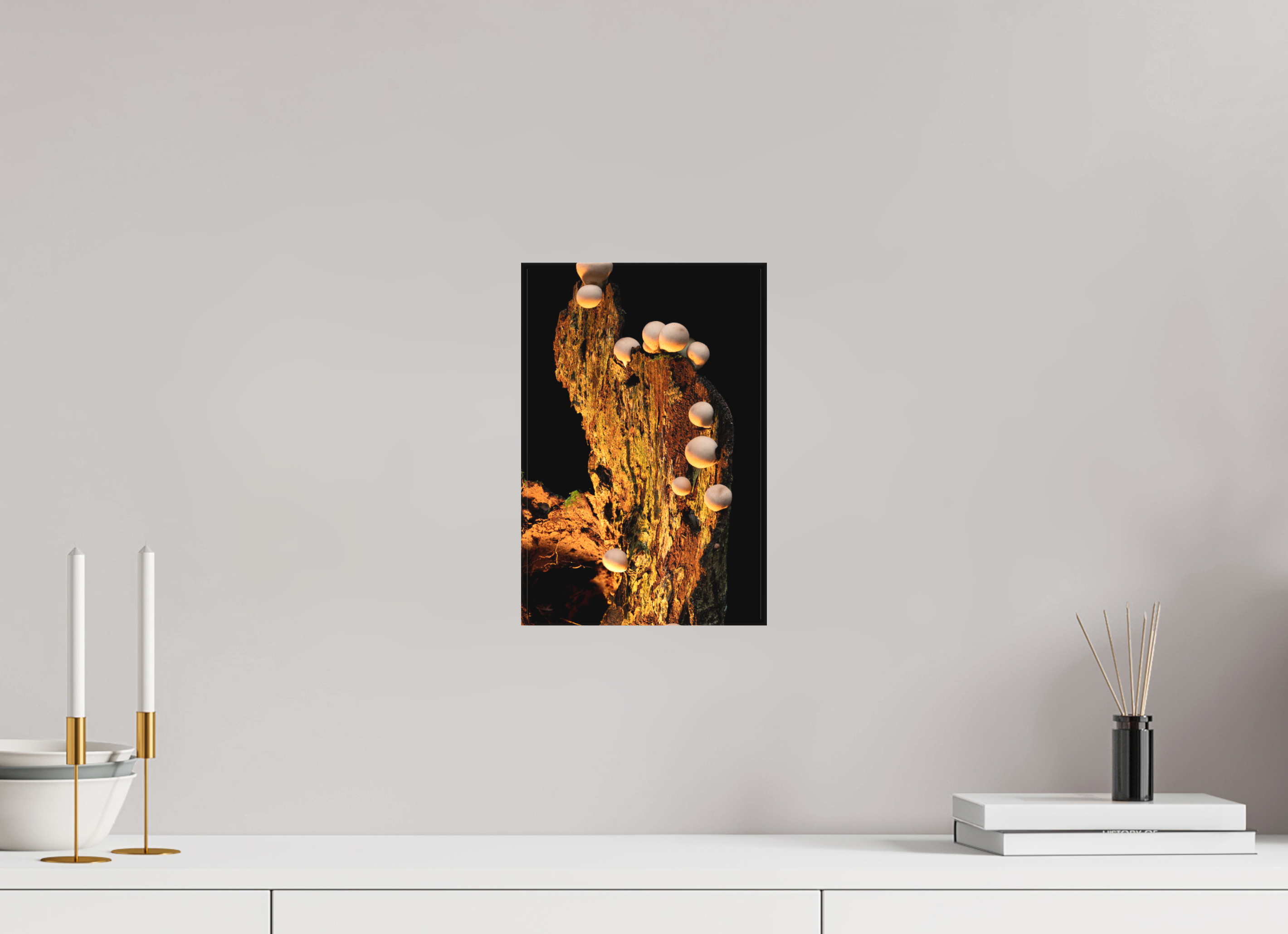 8 x 12″, Matte Canvas with Wrapped Edges Stepping Mushrooms
