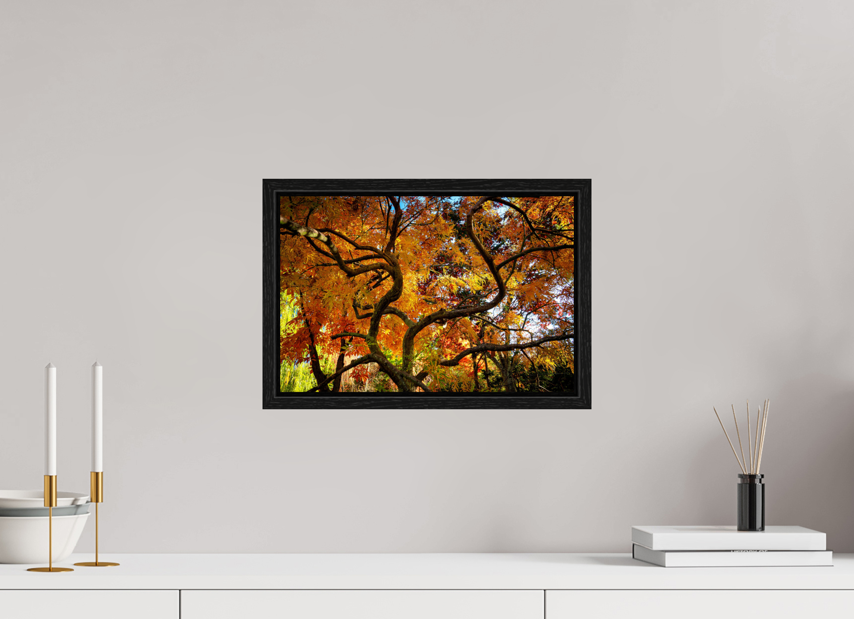 15 x 10″, Floater Frame Autumn Maple